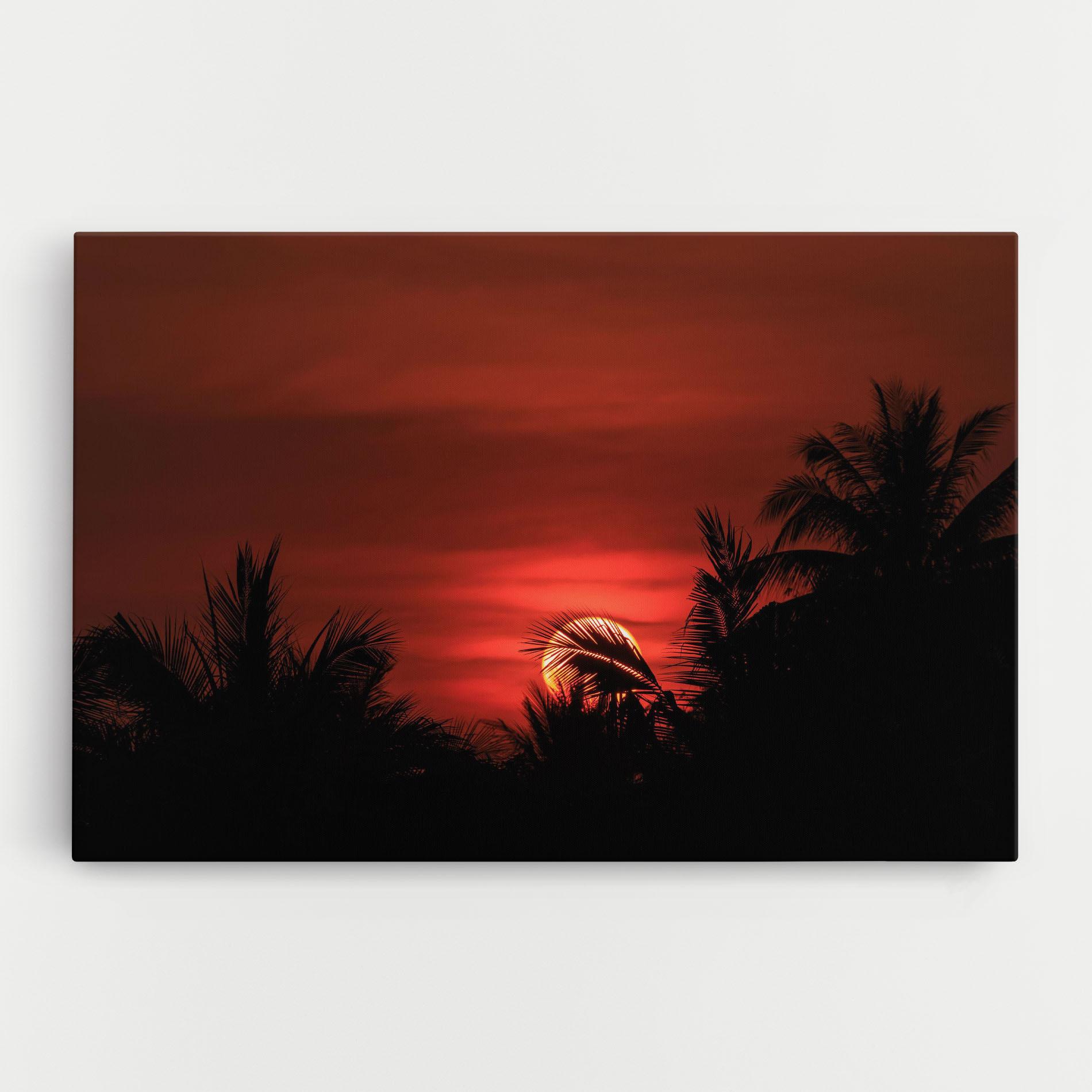 Tablou Canvas Coconuts Tree Sunset mockup 0