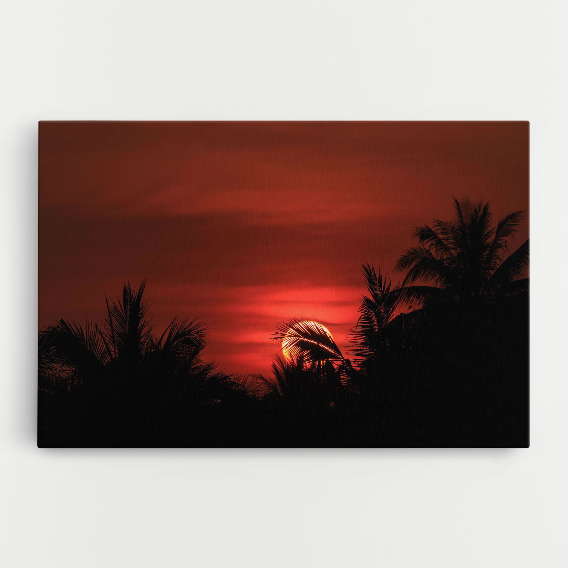 Coconuts Tree Sunset mockup 0