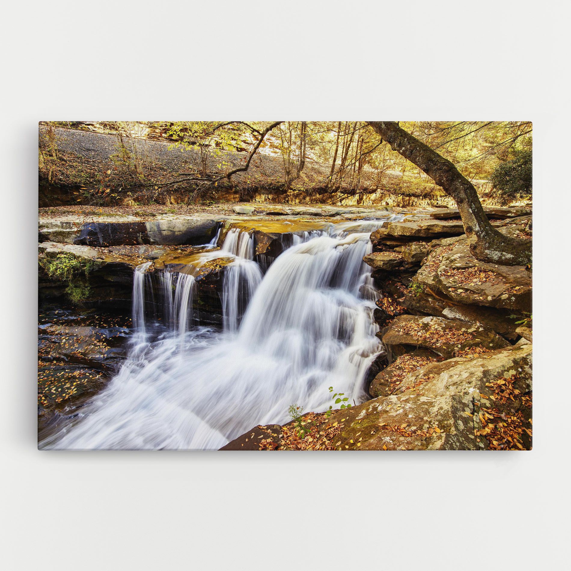 Pretty Autumn Waterfall mockup 0