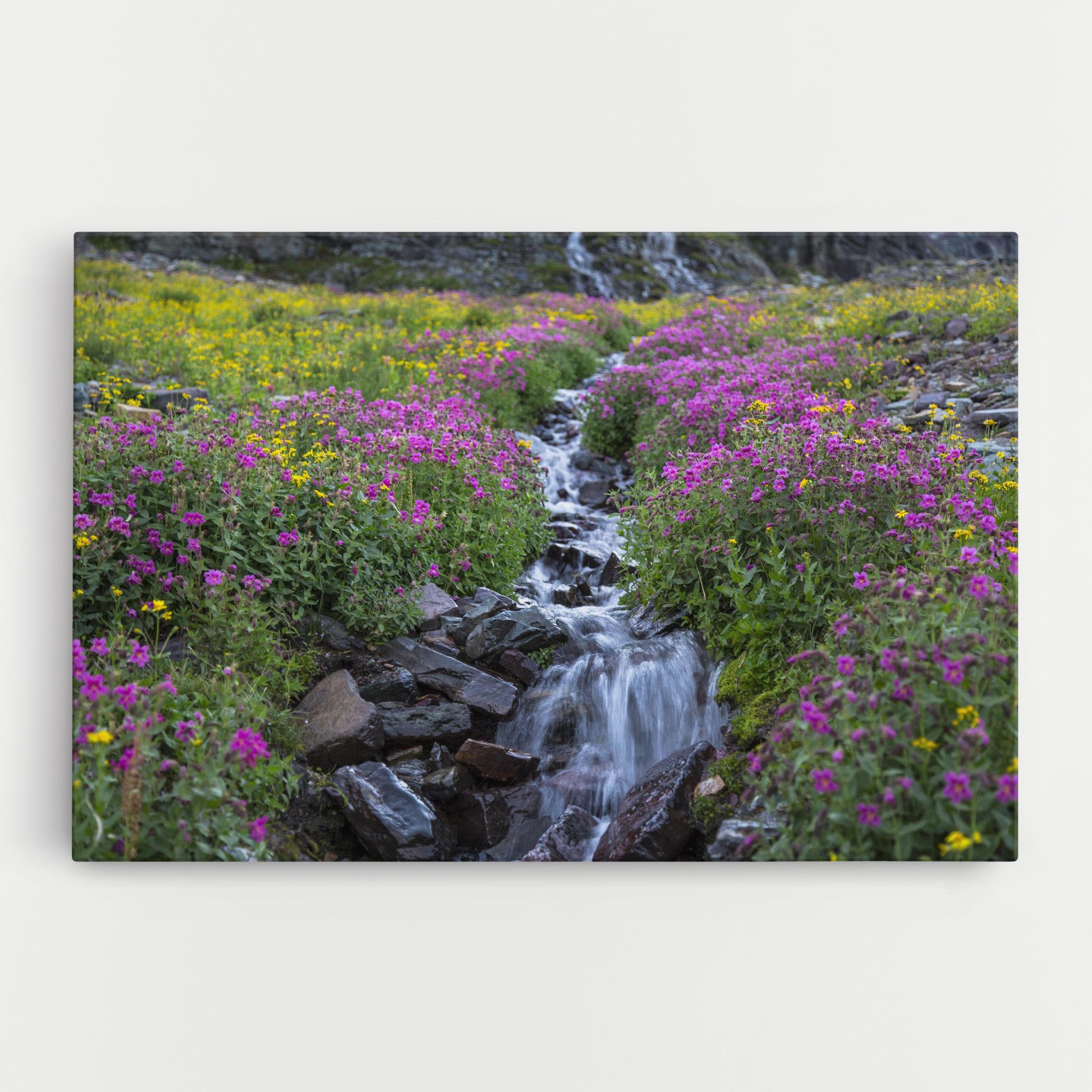 Purple Field Waterfall mockup 0