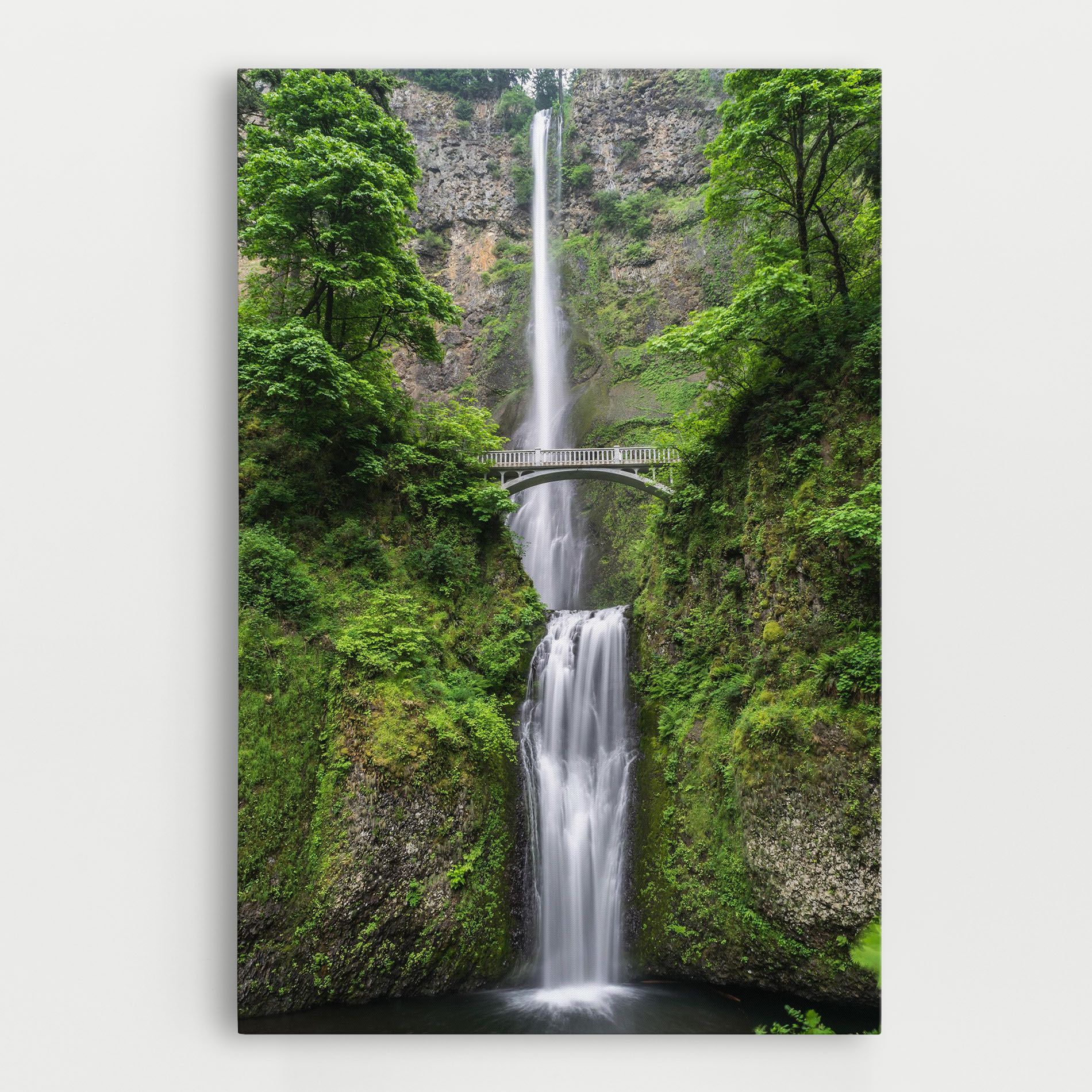 Green Leaves Bridge View mockup 0