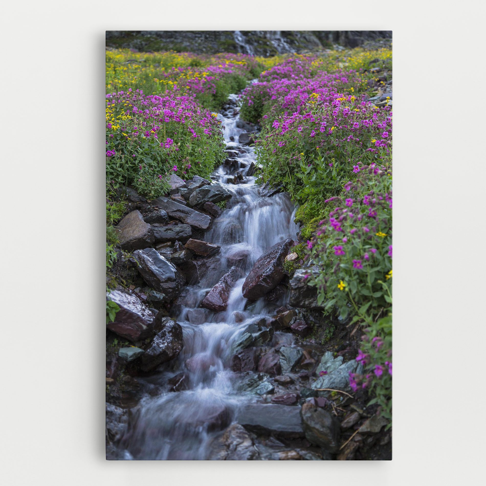 Water Falling Field mockup 0