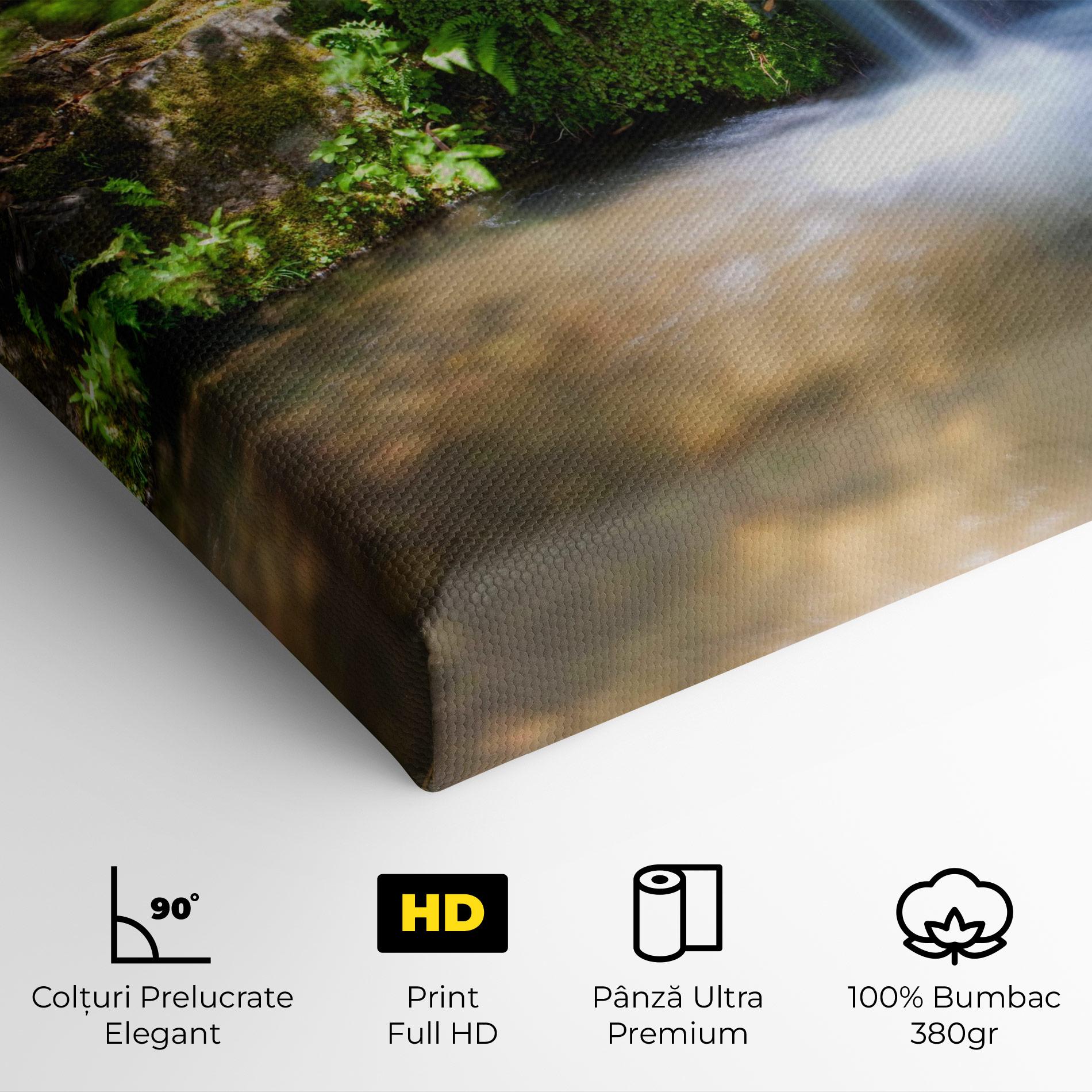 Tablou Canvas Jungle View Waterfall mockup 4