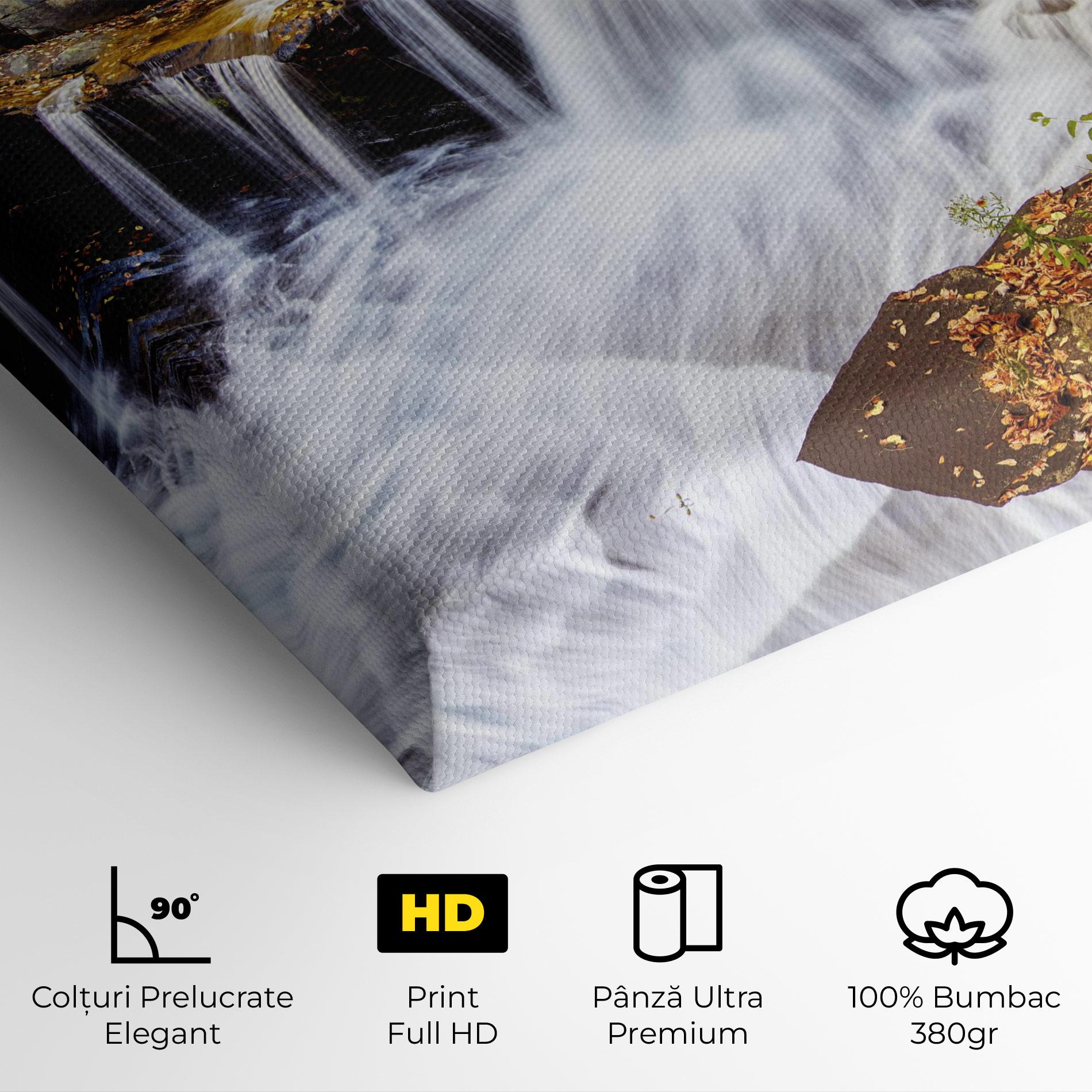 Tablou Canvas Pretty Autumn Waterfall mockup 4