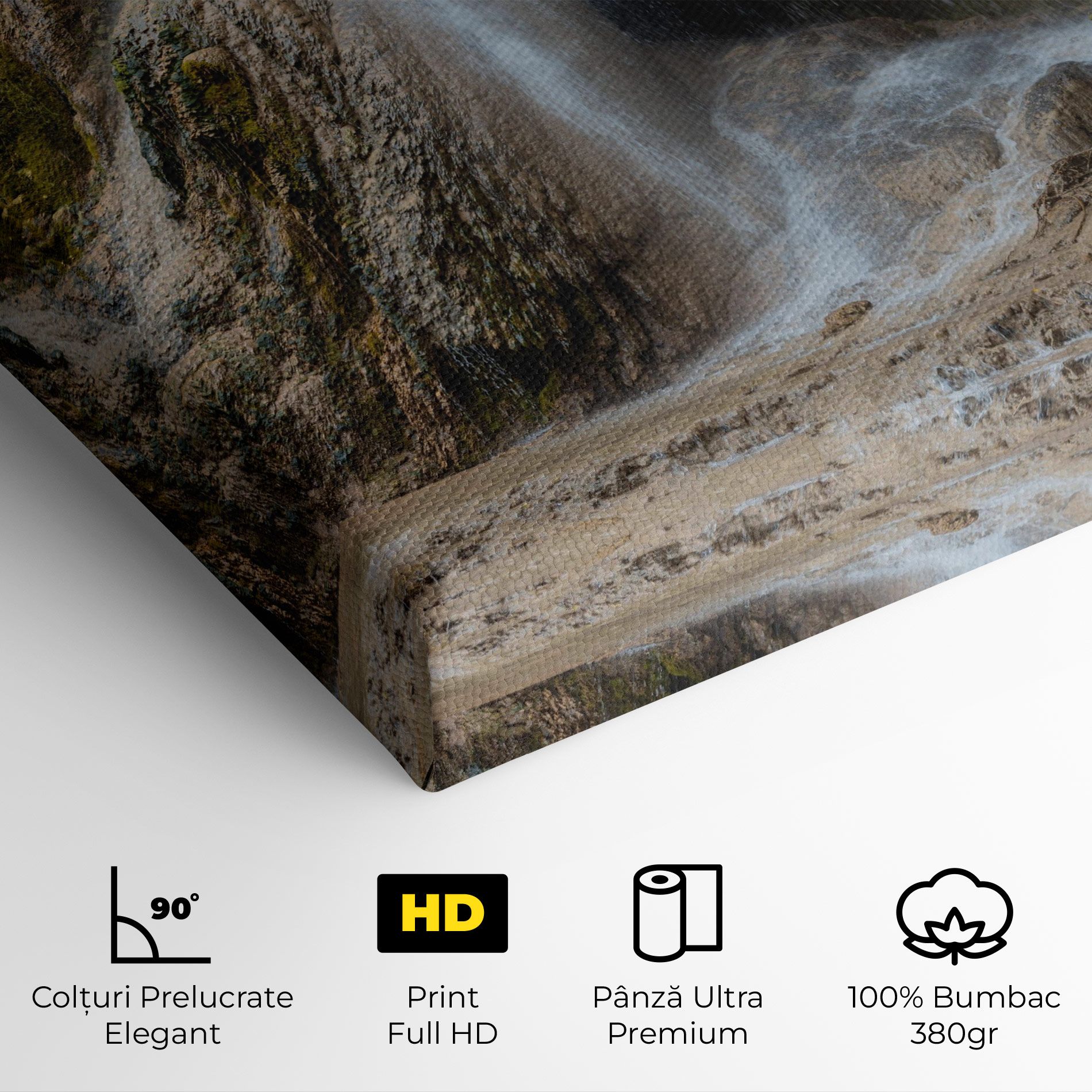 Pretty Waterfall Forest mockup 4