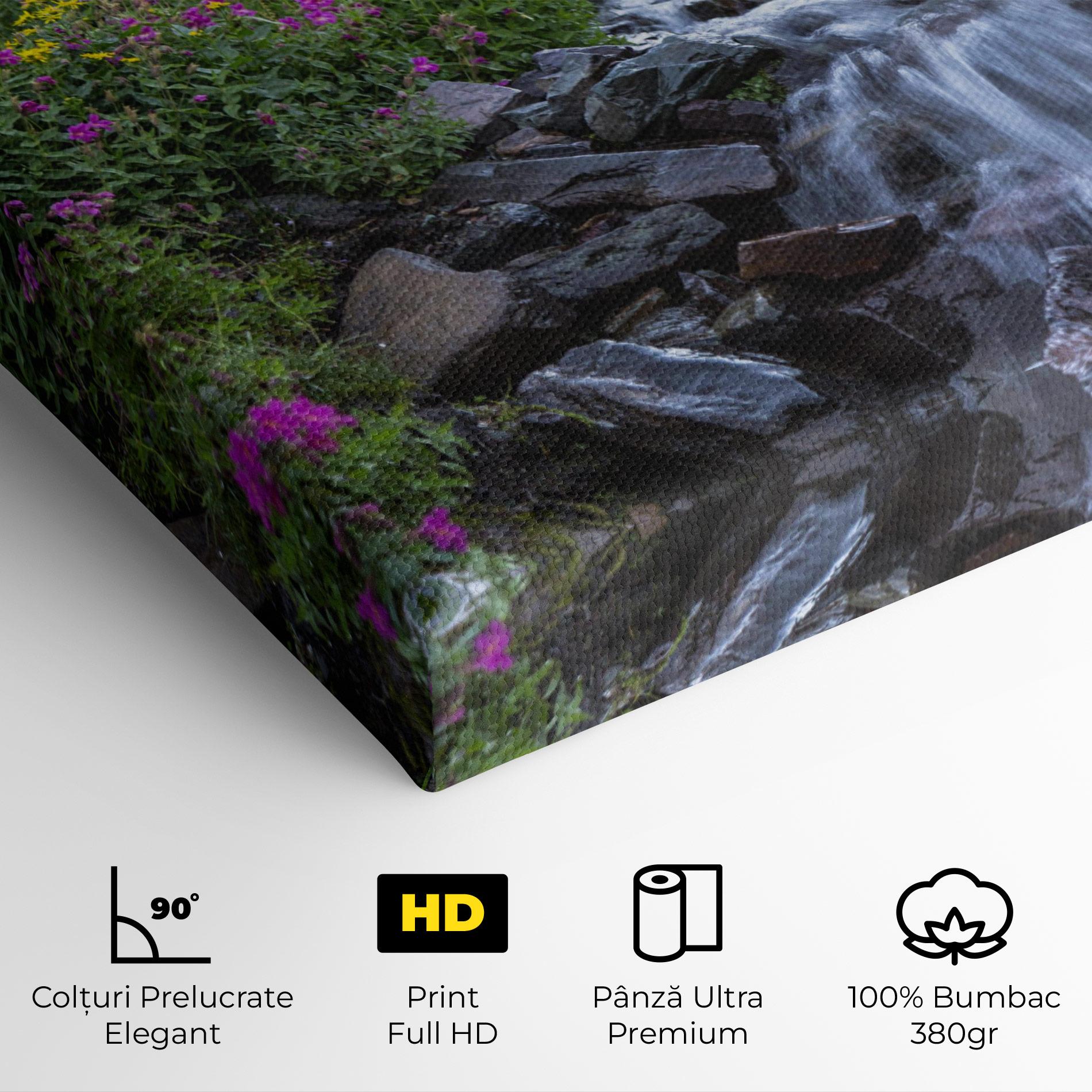 Tablou Canvas Purple Field Waterfall mockup 4
