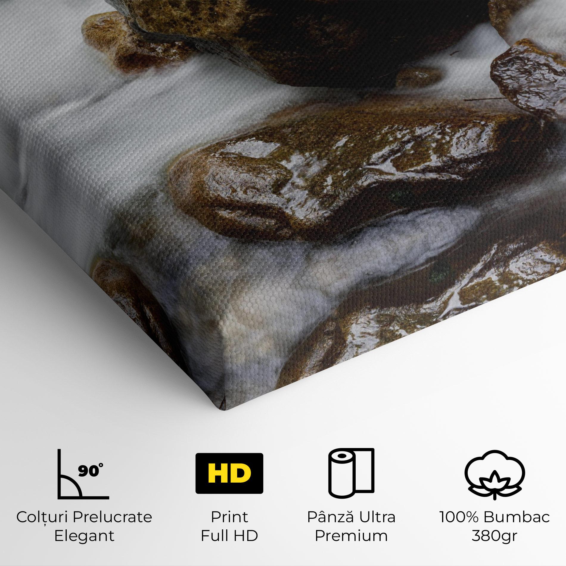 Tablou Canvas Shiny Rocks Waterfall mockup 4