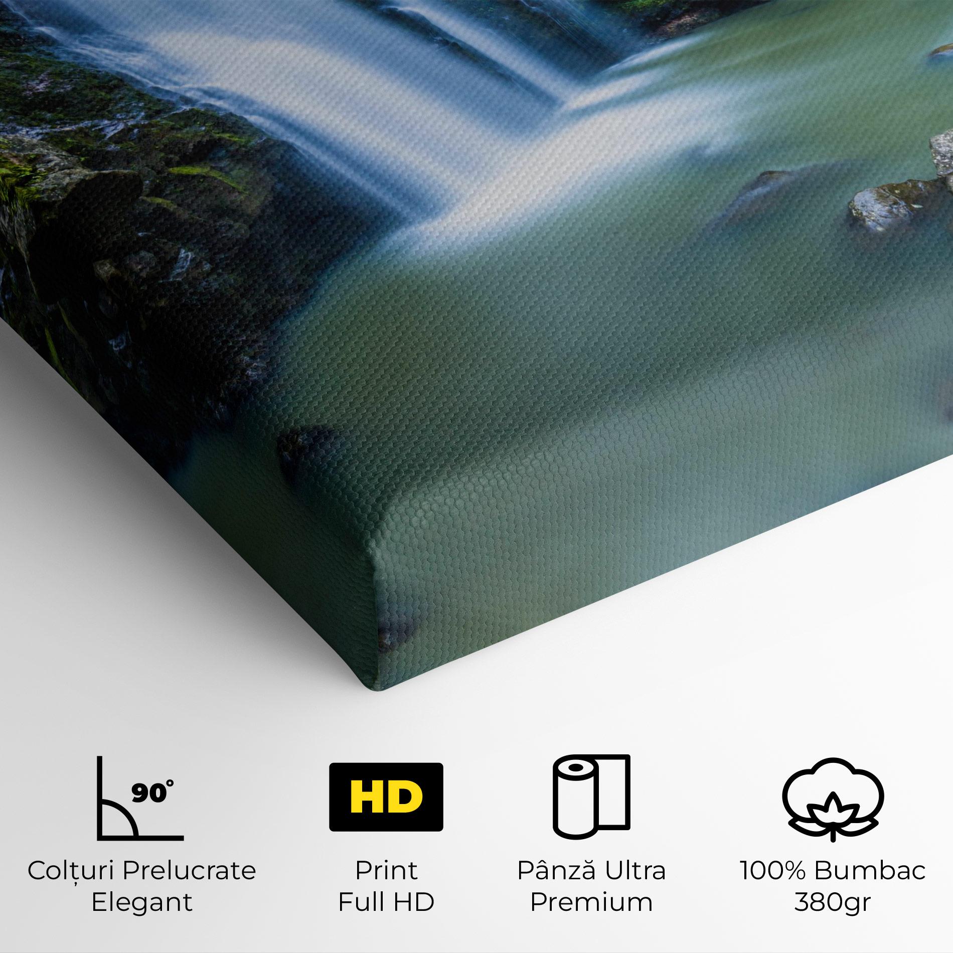Tablou Canvas Swimming In Waterfall mockup 4