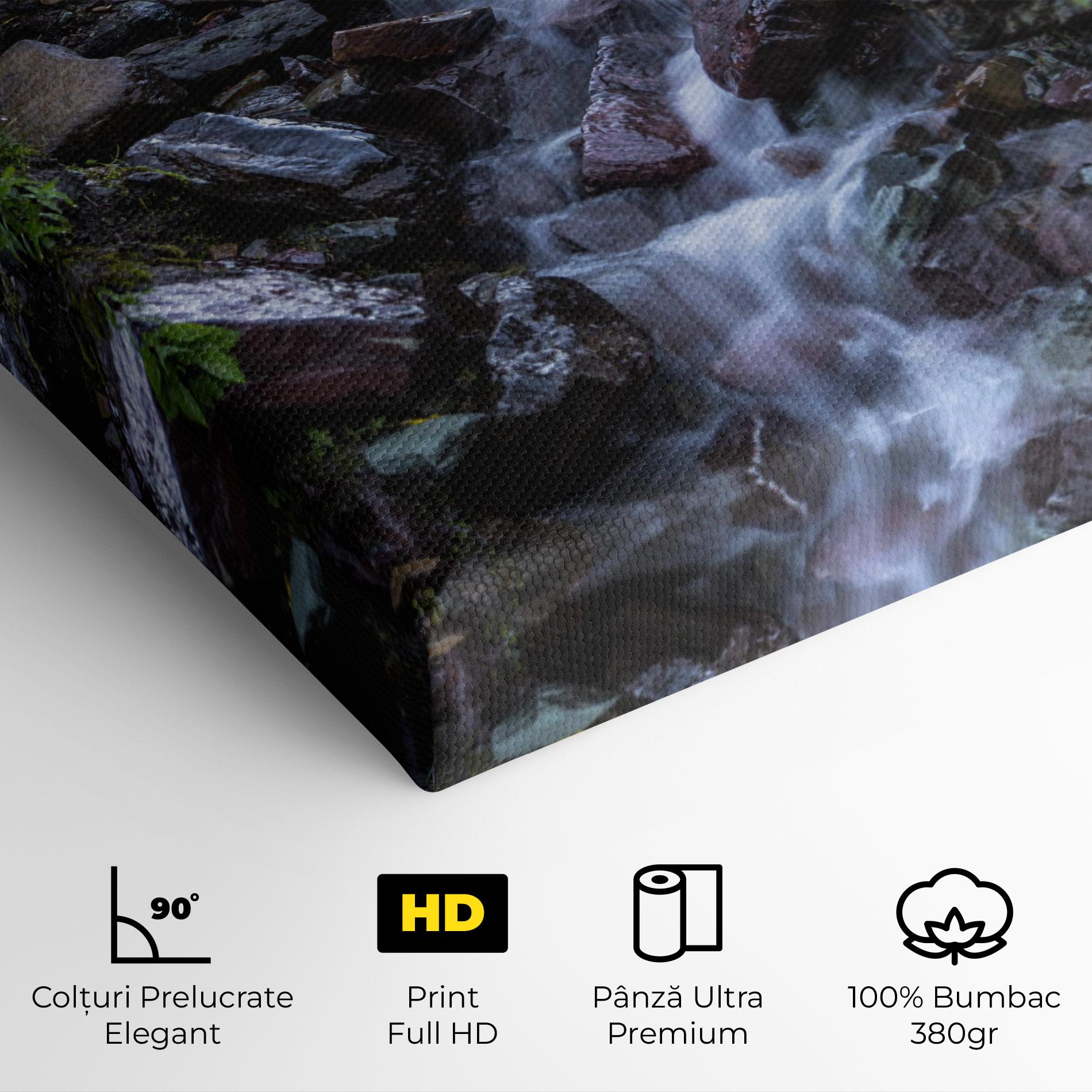Tablou Canvas Water Falling Field mockup 4