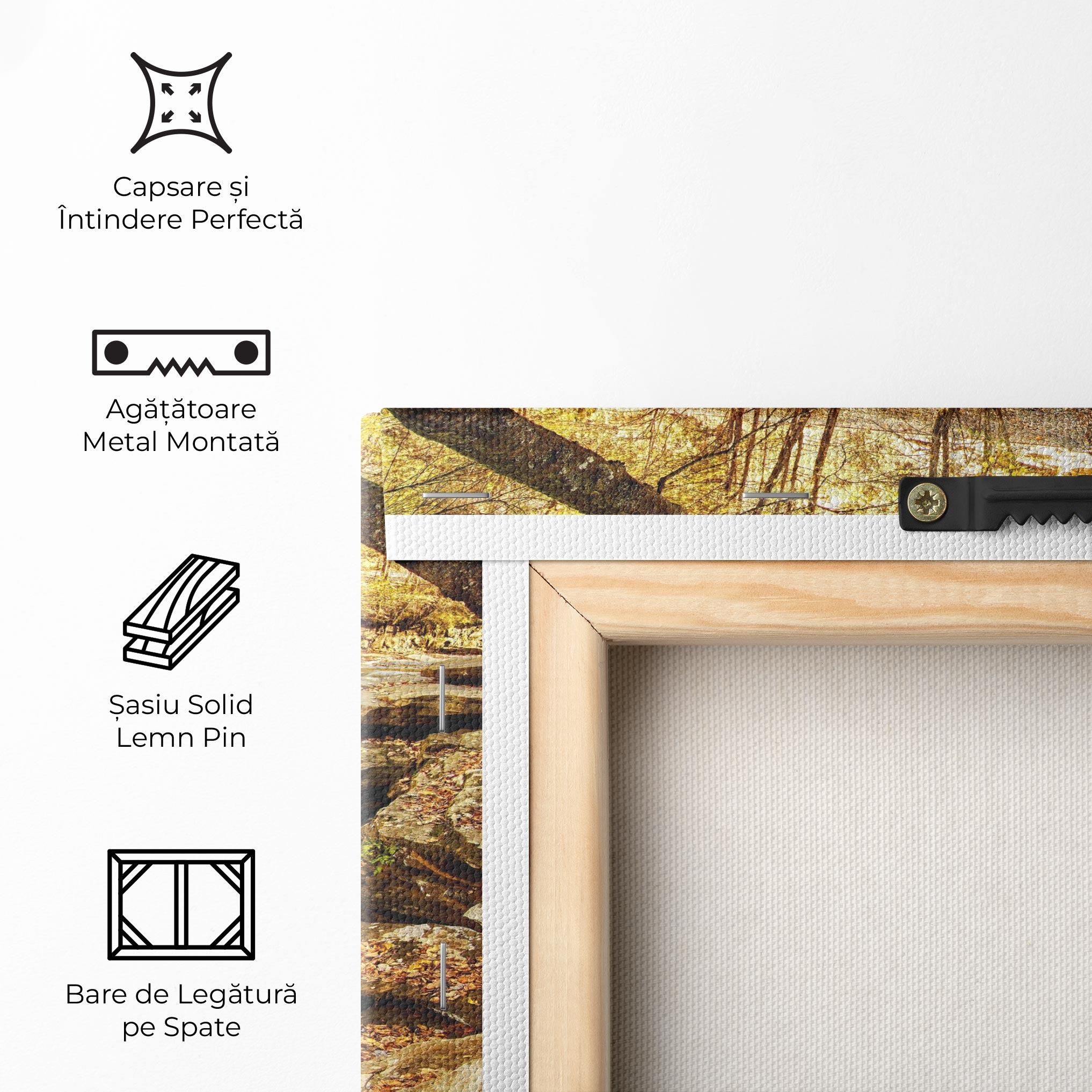 Tablou Canvas Pretty Autumn Waterfall mockup 5