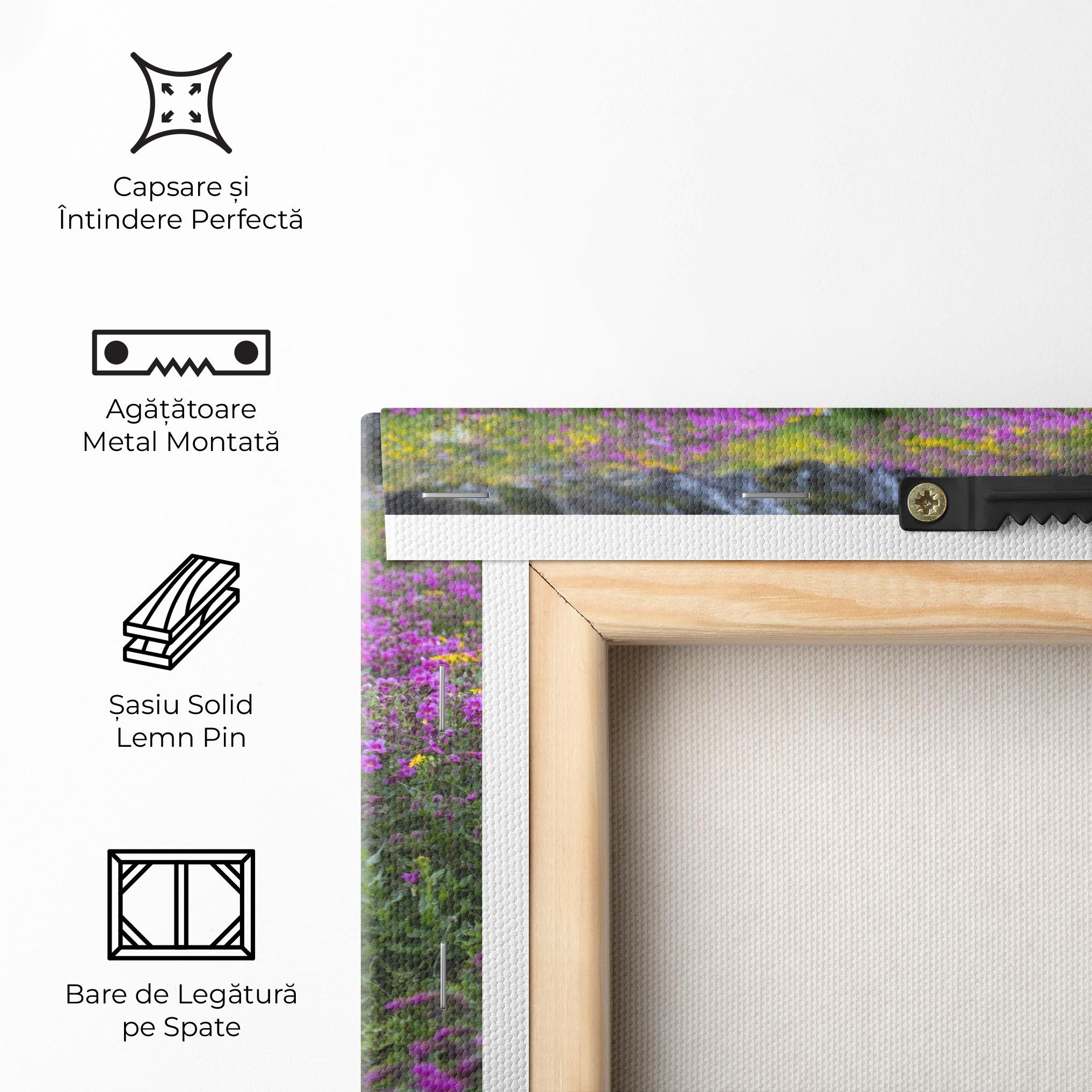 Purple Field Waterfall mockup 5