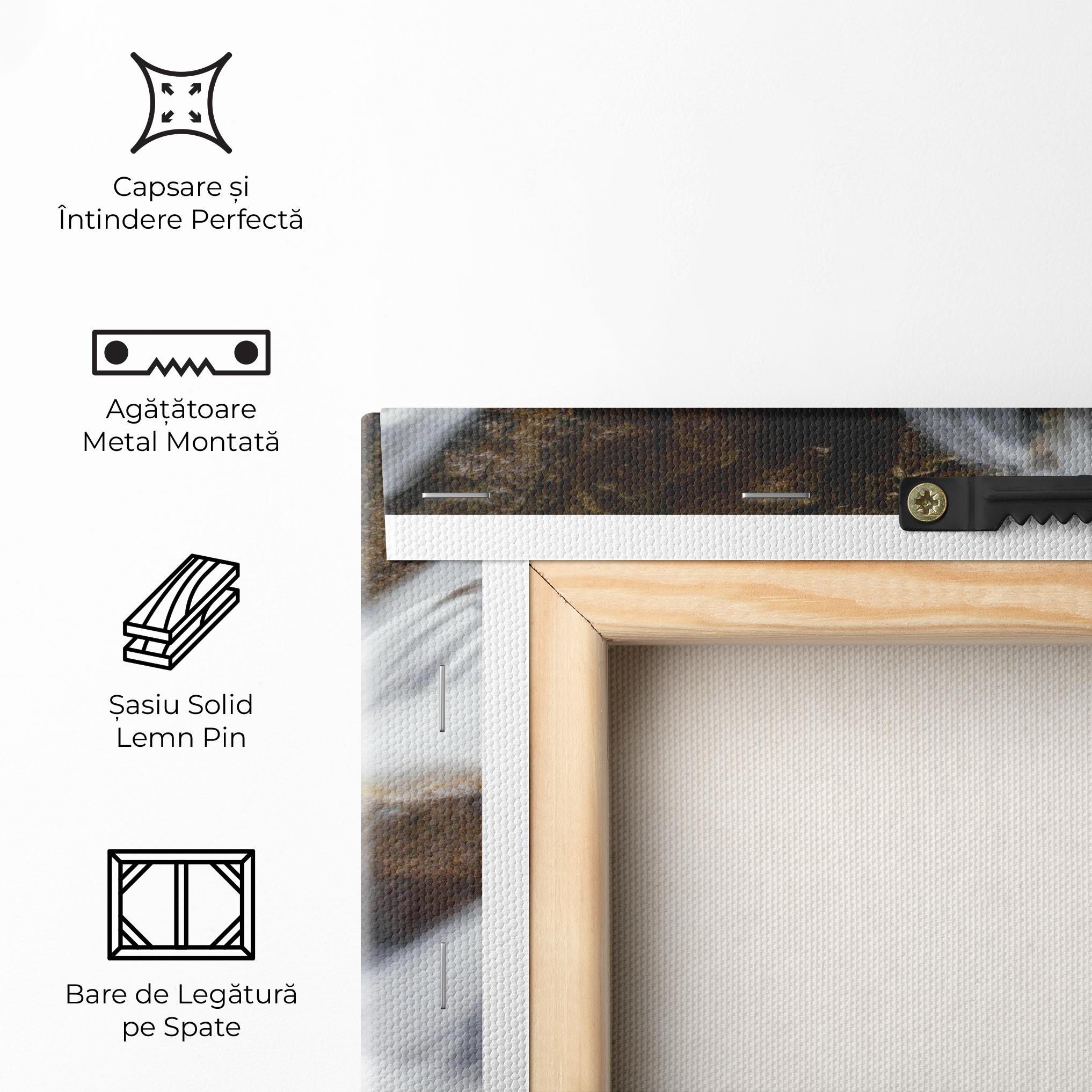 Tablou Canvas Shiny Rocks Waterfall mockup 5