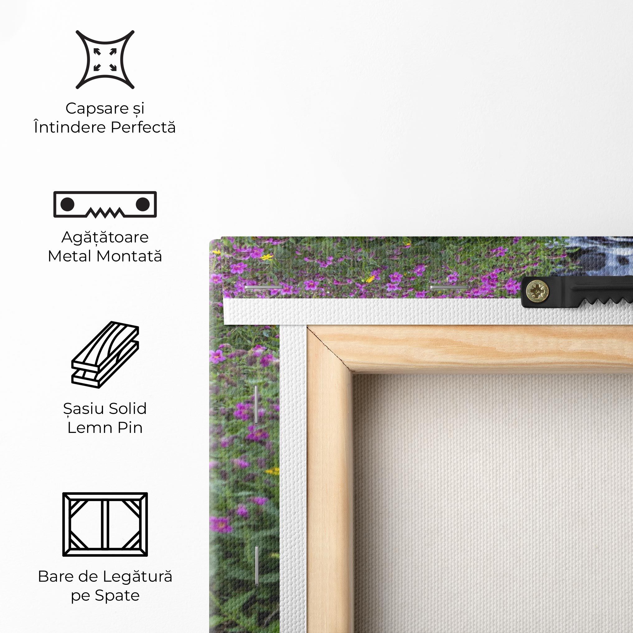 Water Falling Field mockup 5