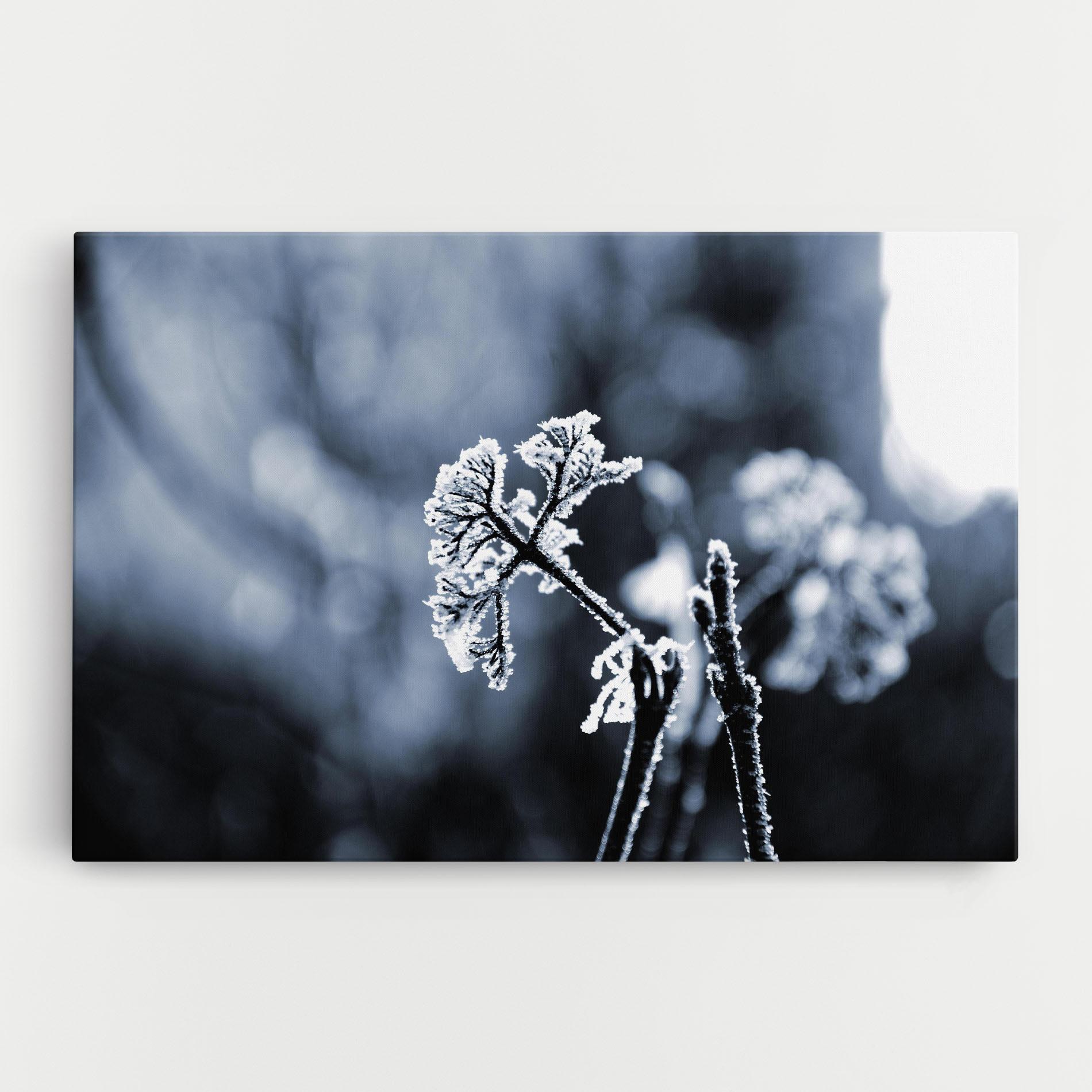 Tablou Canvas Winter Plant mockup 0