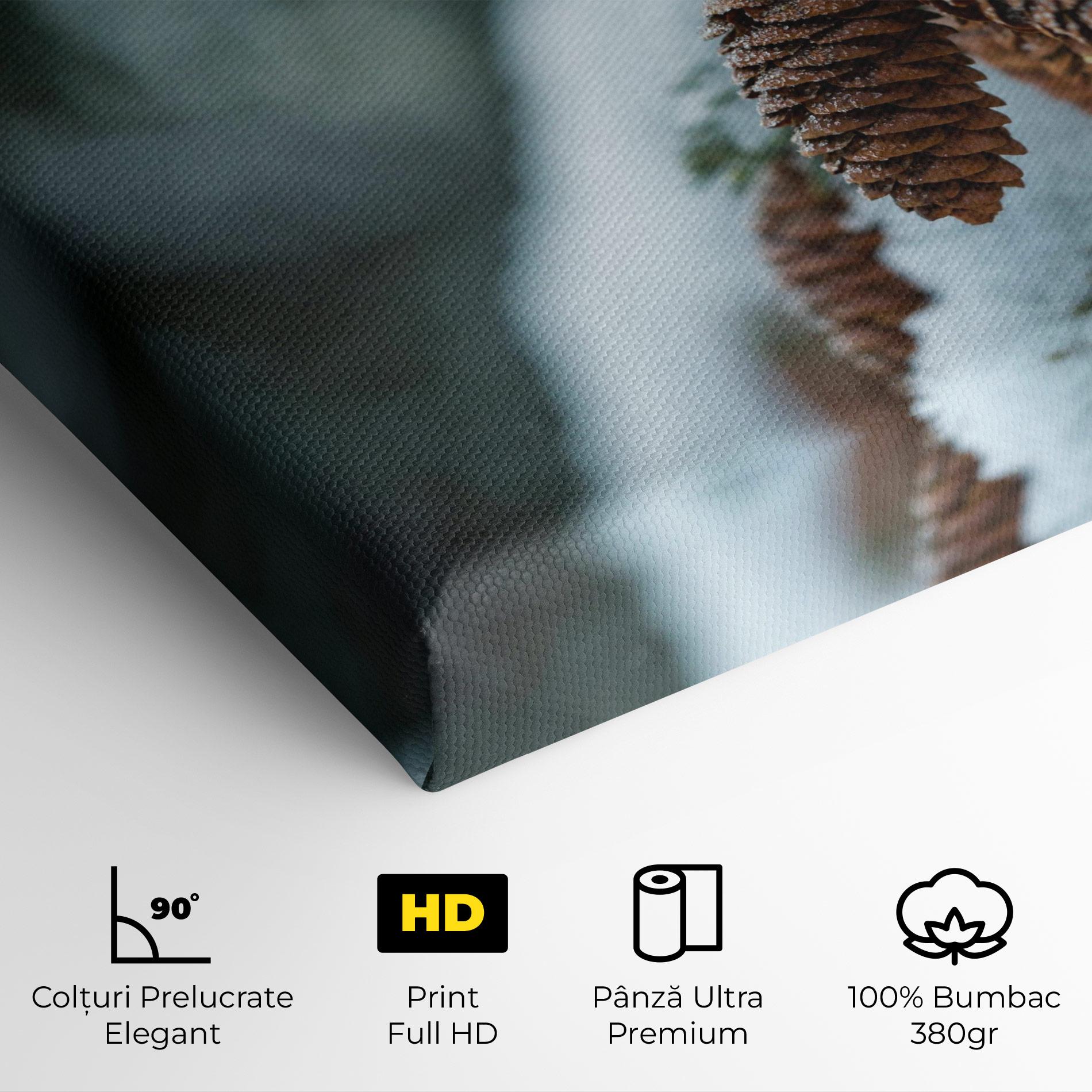 Tablou Canvas Pretty Snow Cones mockup 4