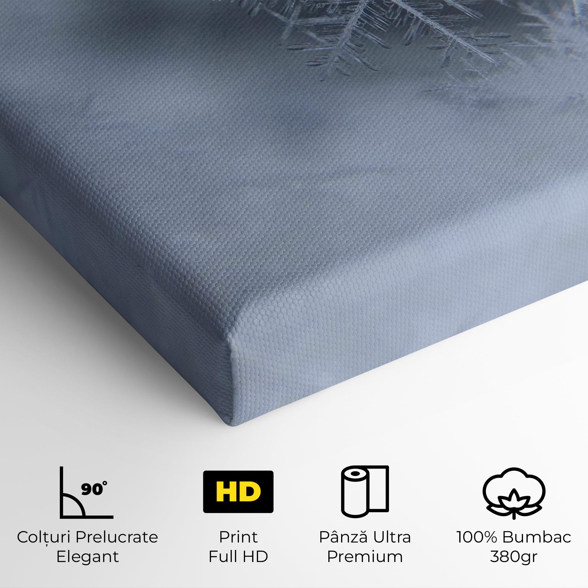 Tablou Canvas Pretty Snowflake mockup 4