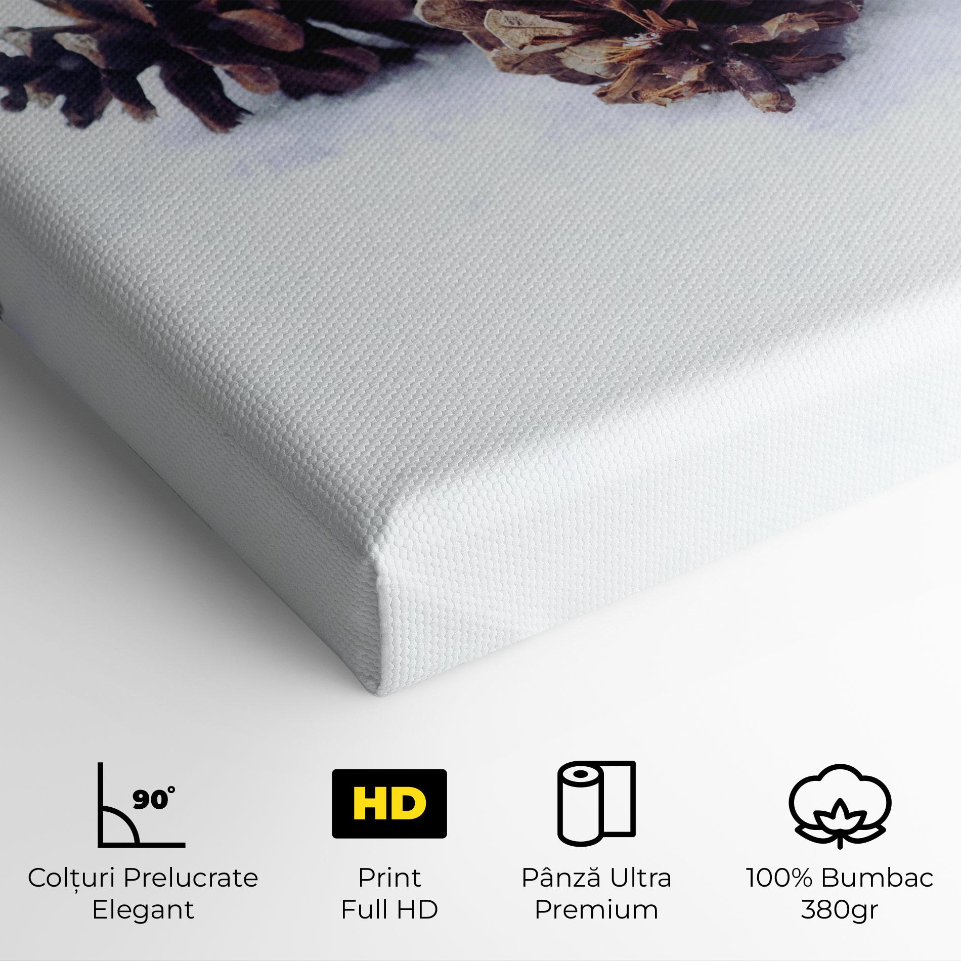 Tablou Canvas Snow Cones mockup 4