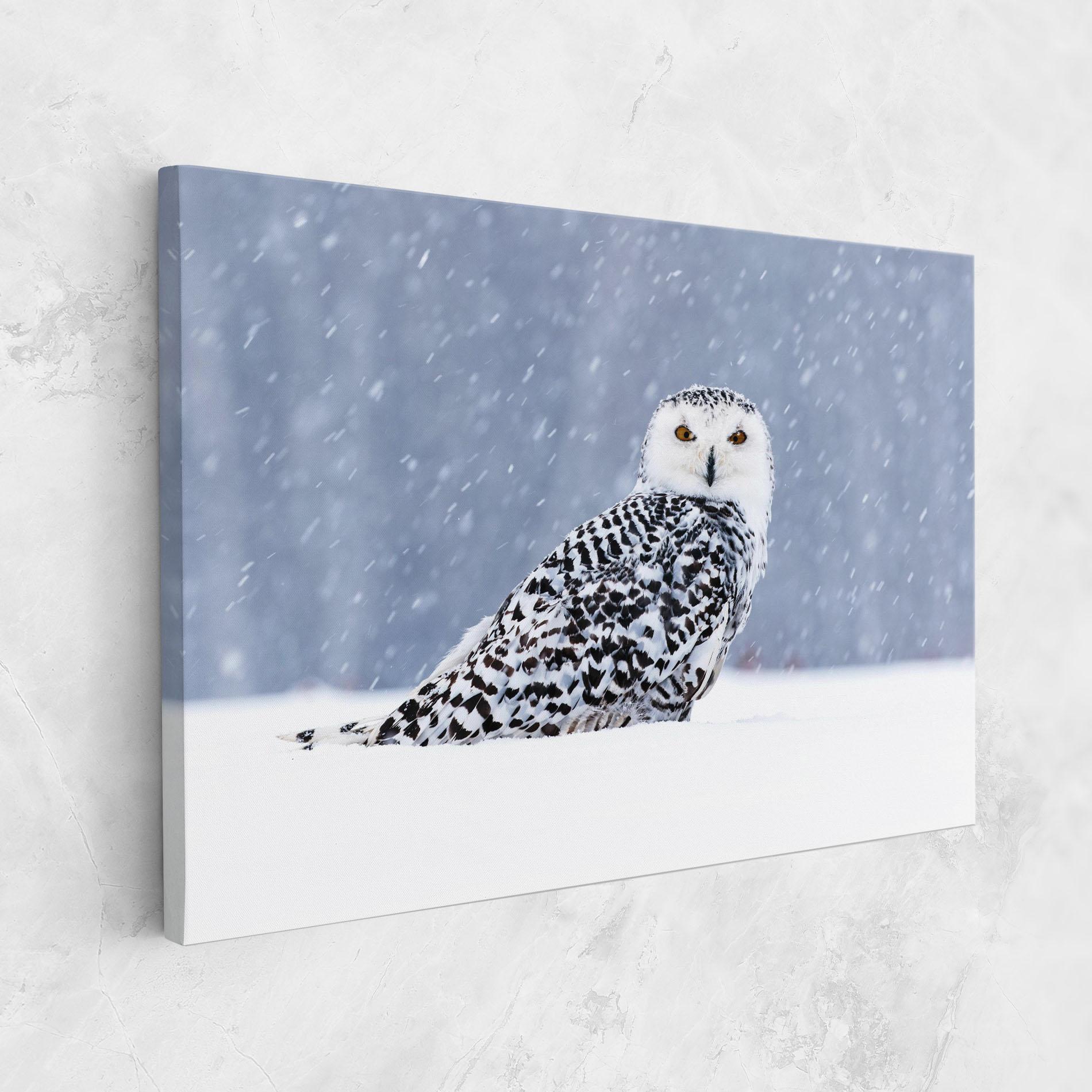 Tablou Canvas Snow Owl mockup 1