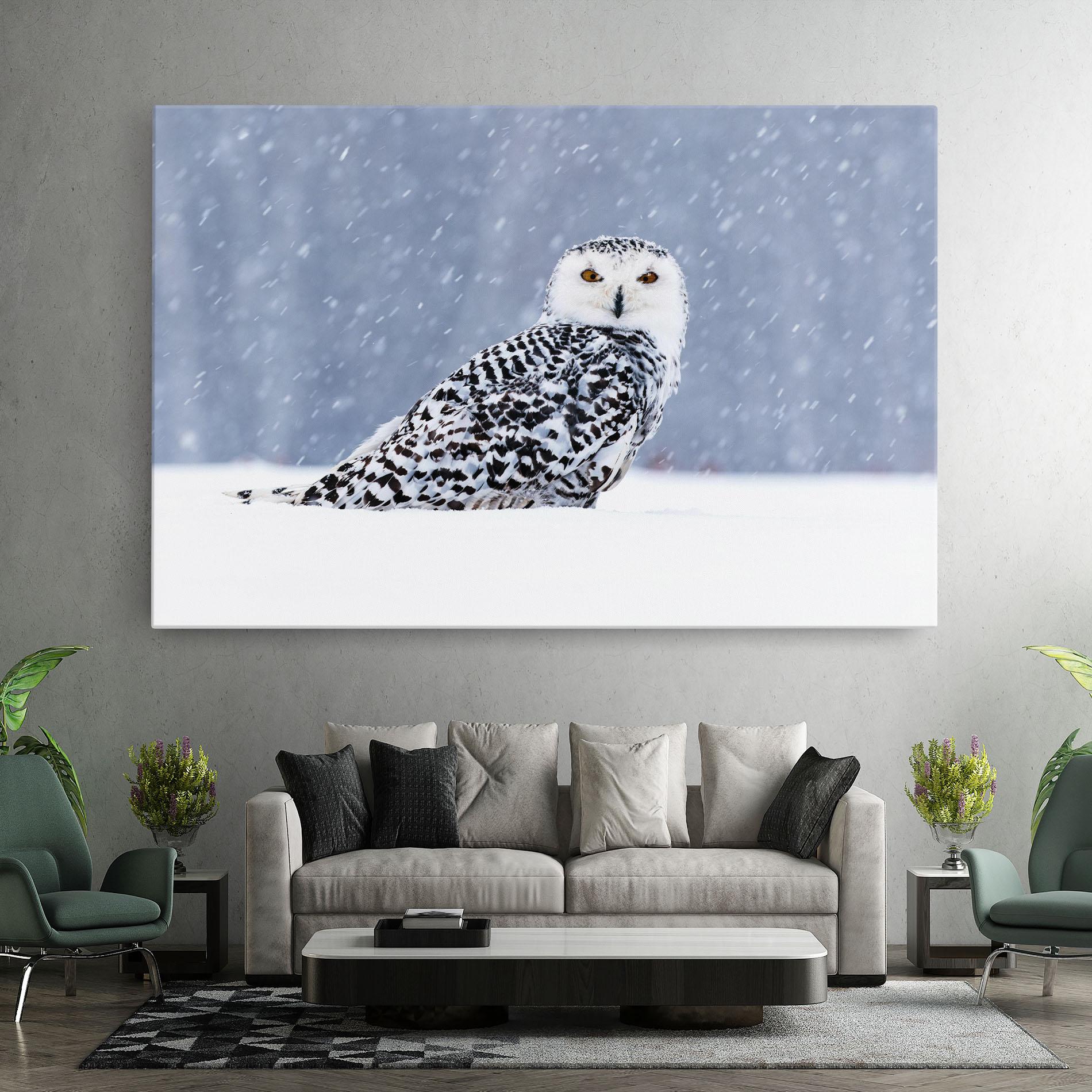 Tablou Canvas Snow Owl mockup 7