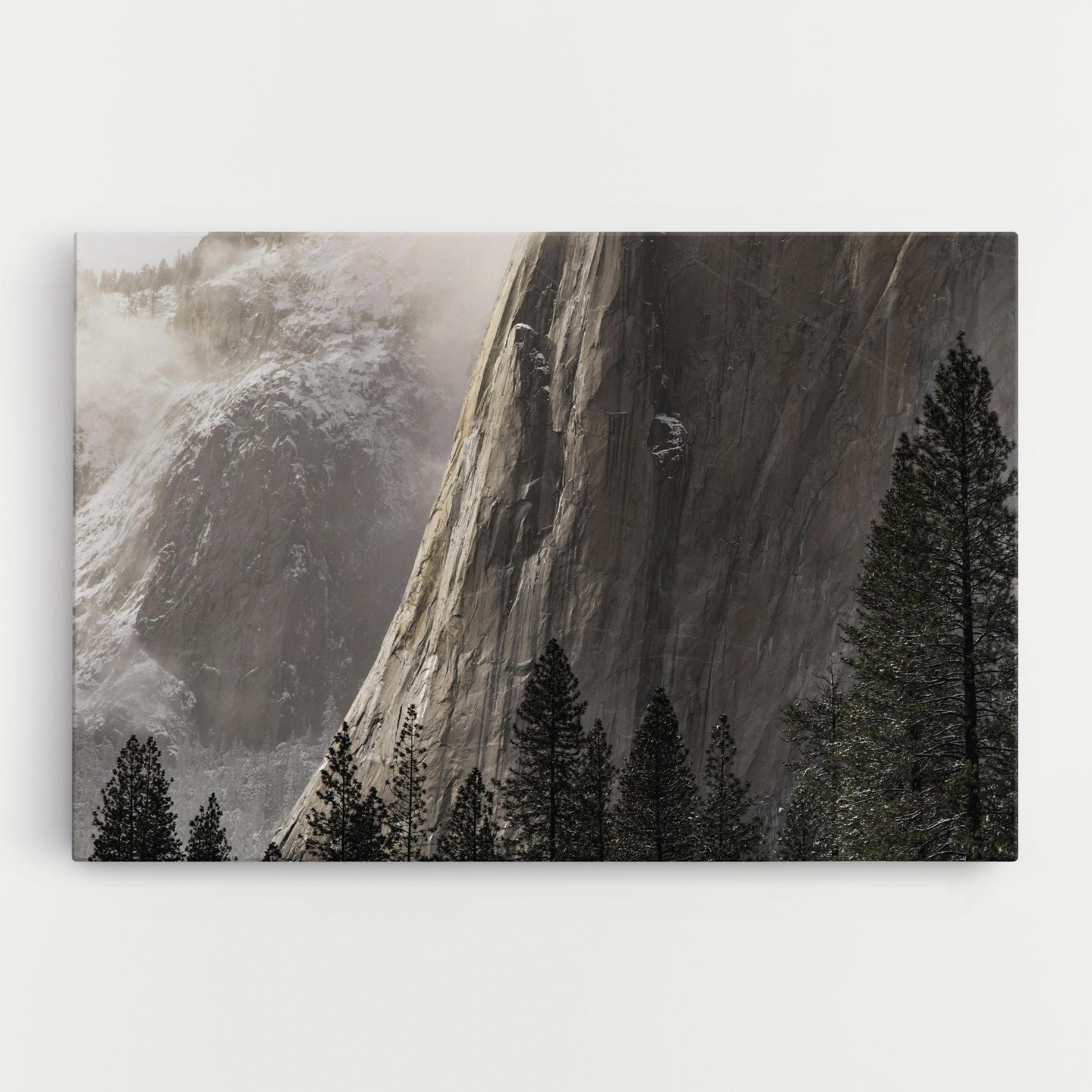 Tablou Canvas Green Tree Mountain mockup 0