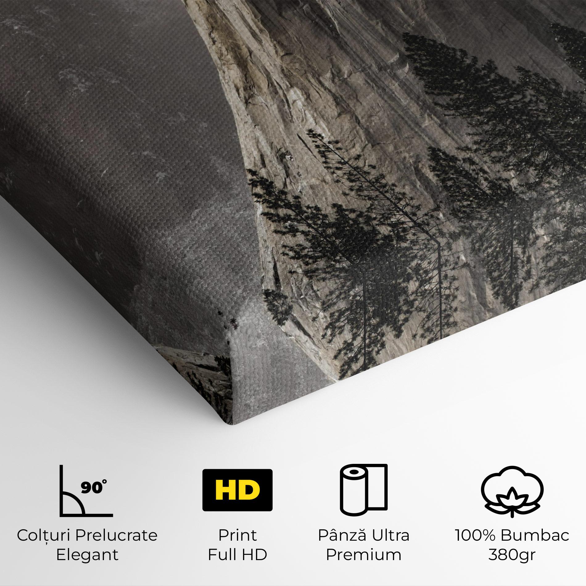 Tablou Canvas Green Tree Mountain mockup 4