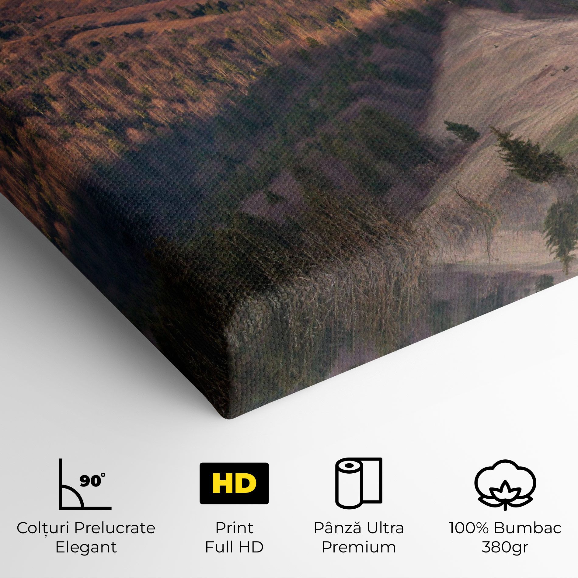 Top Of The Hill mockup 4