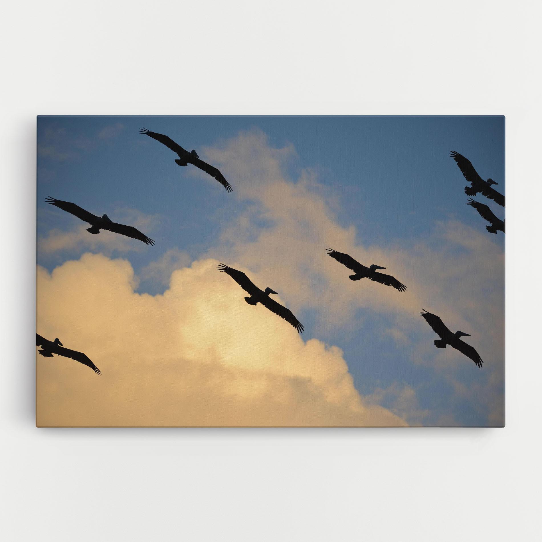 Tablou Canvas Bird Shilouette Cloud mockup 0