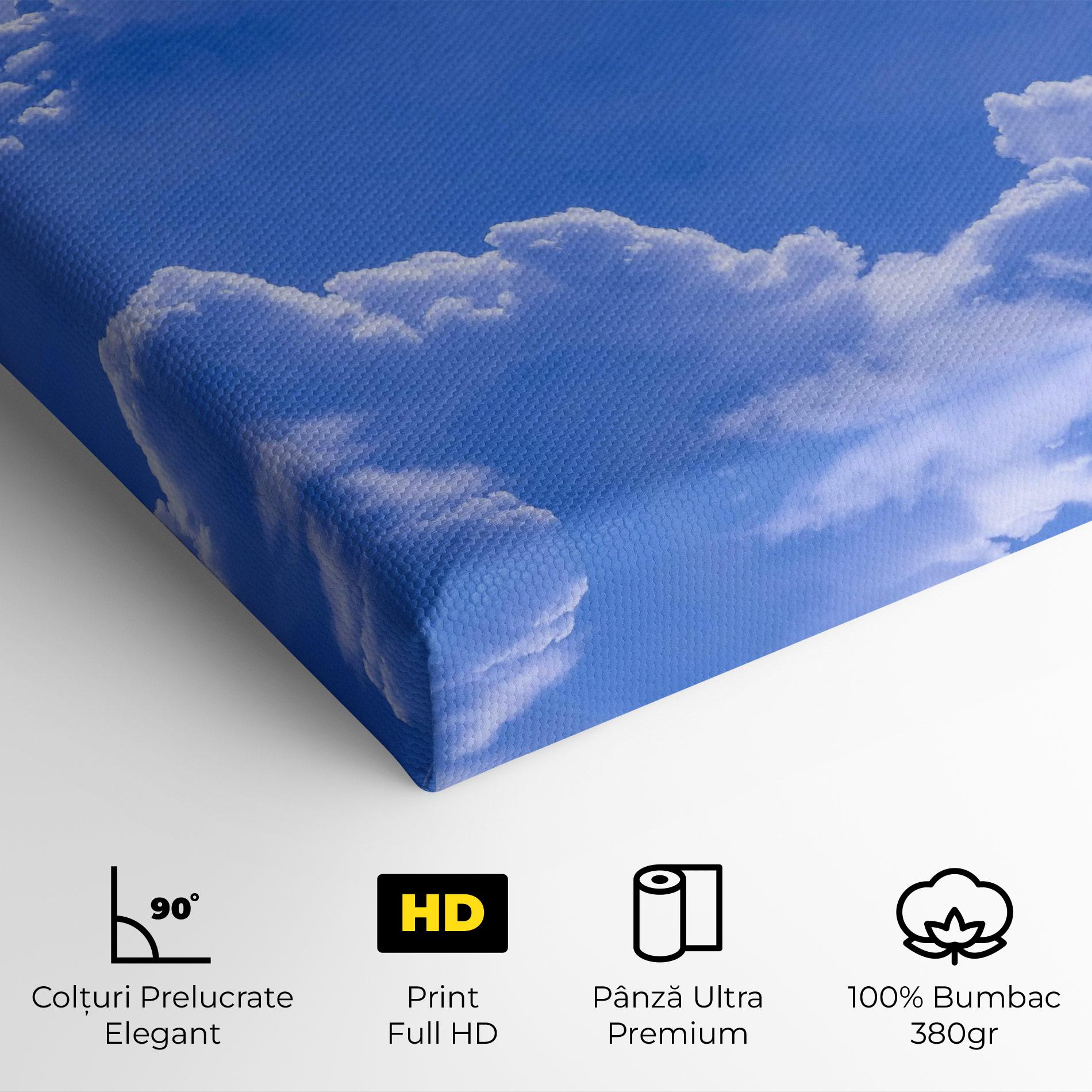 Tablou Canvas Big Blue Cloud mockup 4