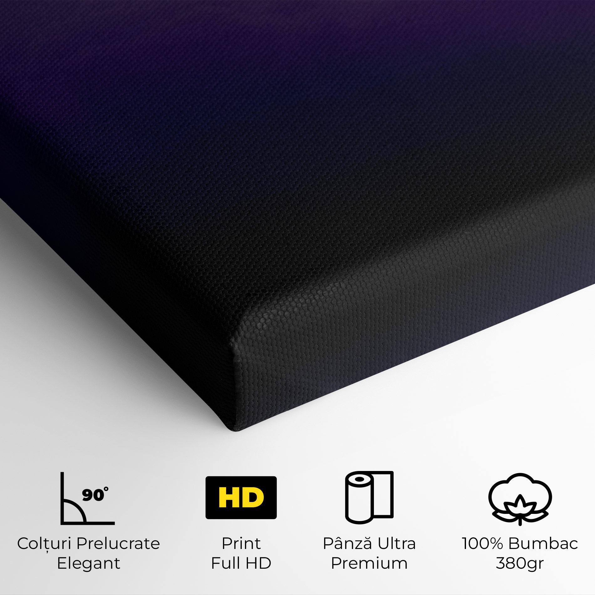 Tablou Canvas Big Purple Cloud mockup 4