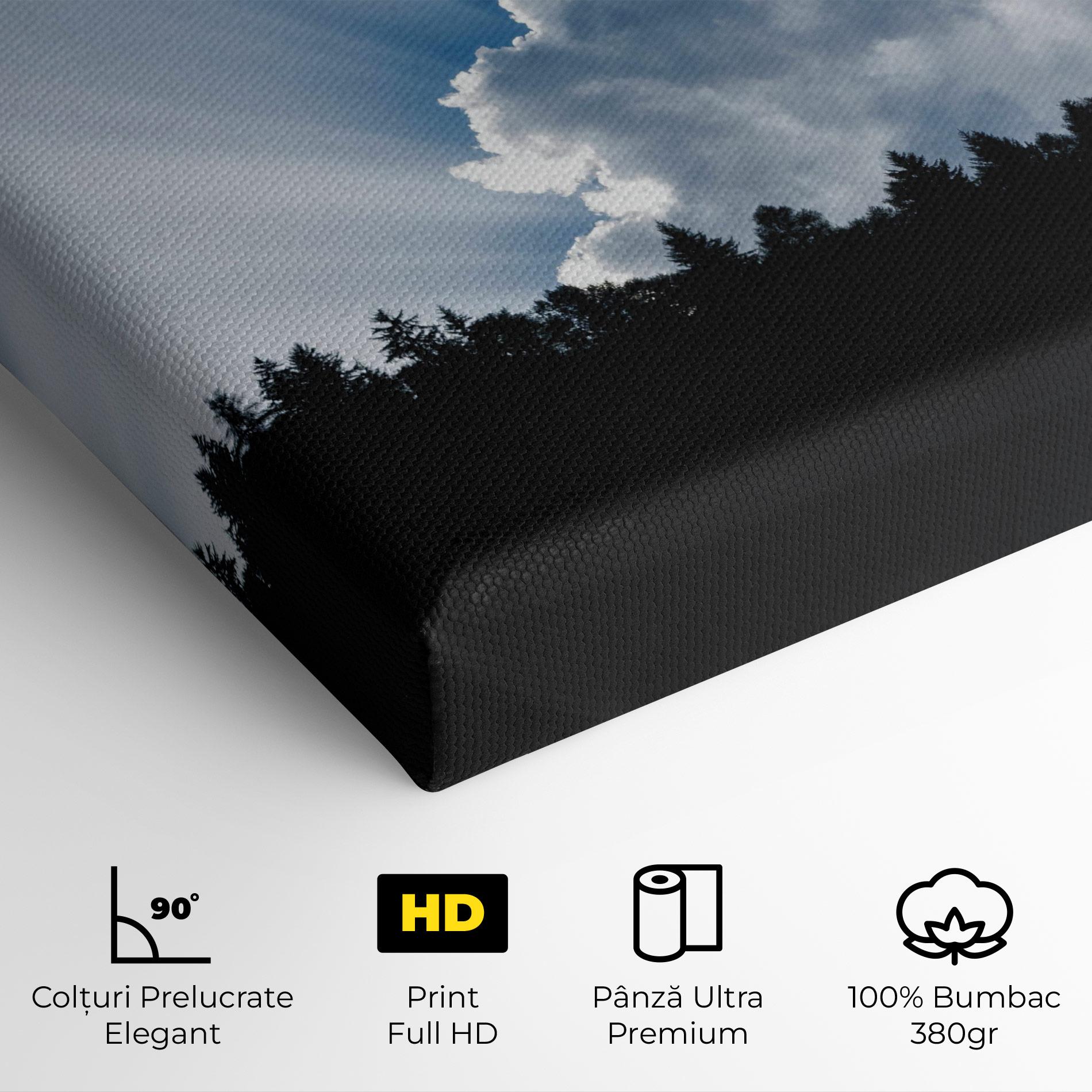 Tablou Canvas Big White Cloud Light mockup 4