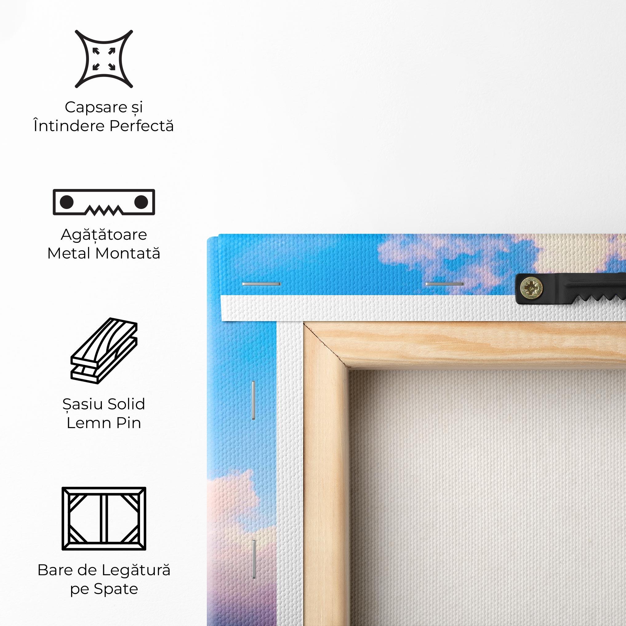 Tablou Canvas Dreamy Pink Clouds mockup 5