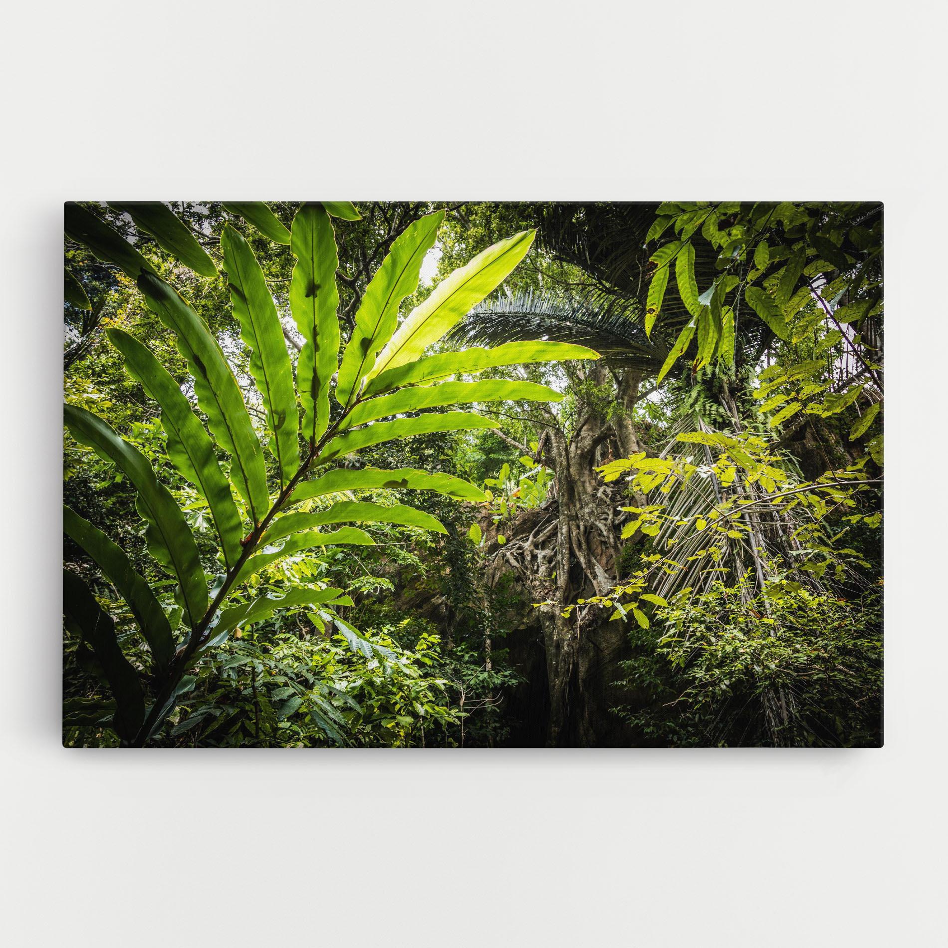 Tablou Canvas Big Leaf Forest mockup 0