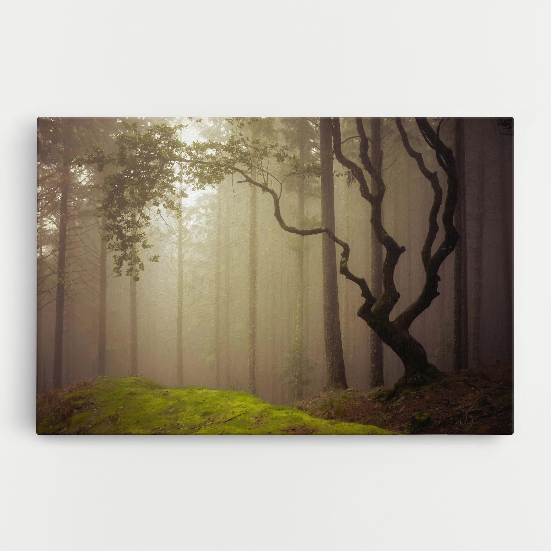 Tablou Canvas Foggy Tree Art mockup 0