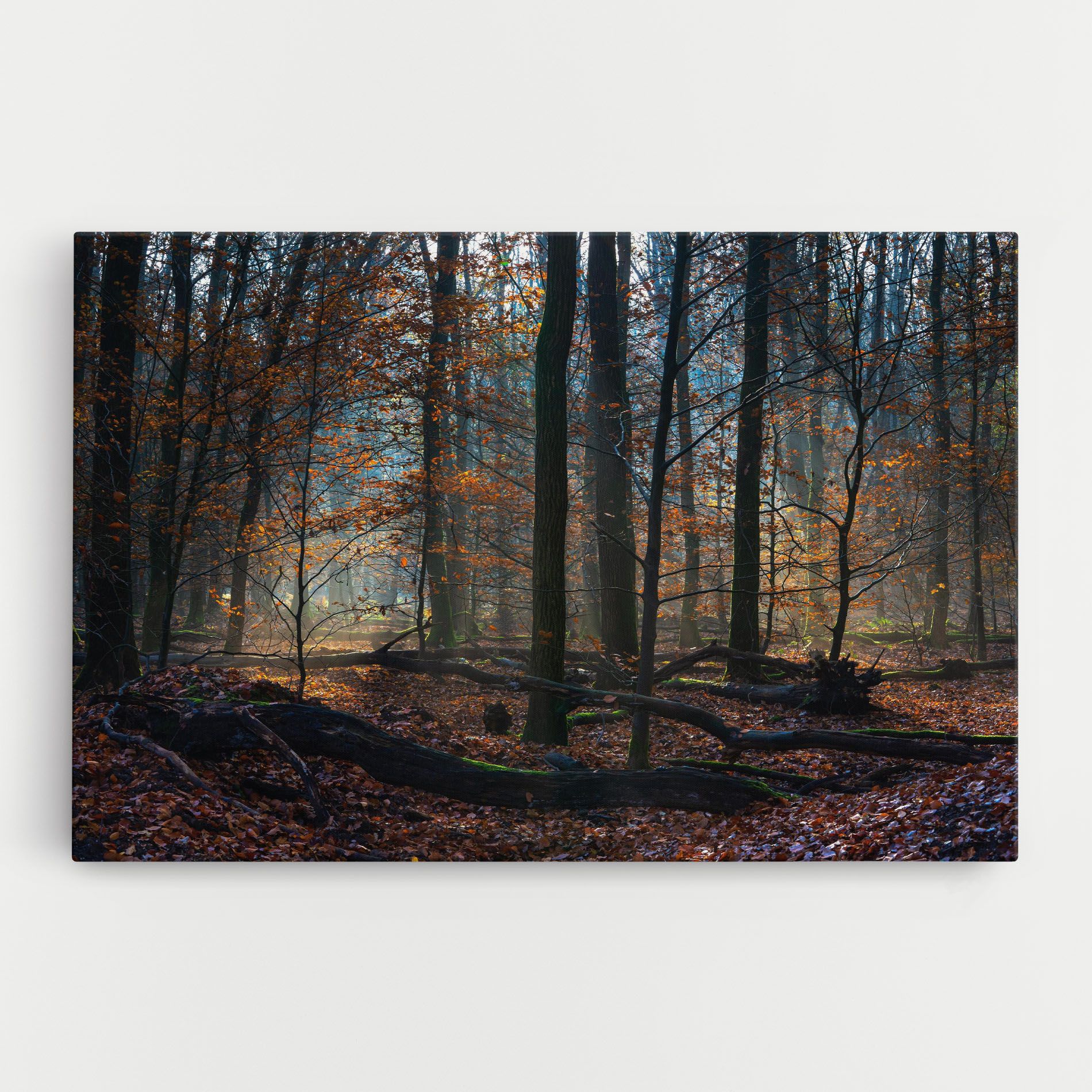 Forest Autumn Day mockup 0