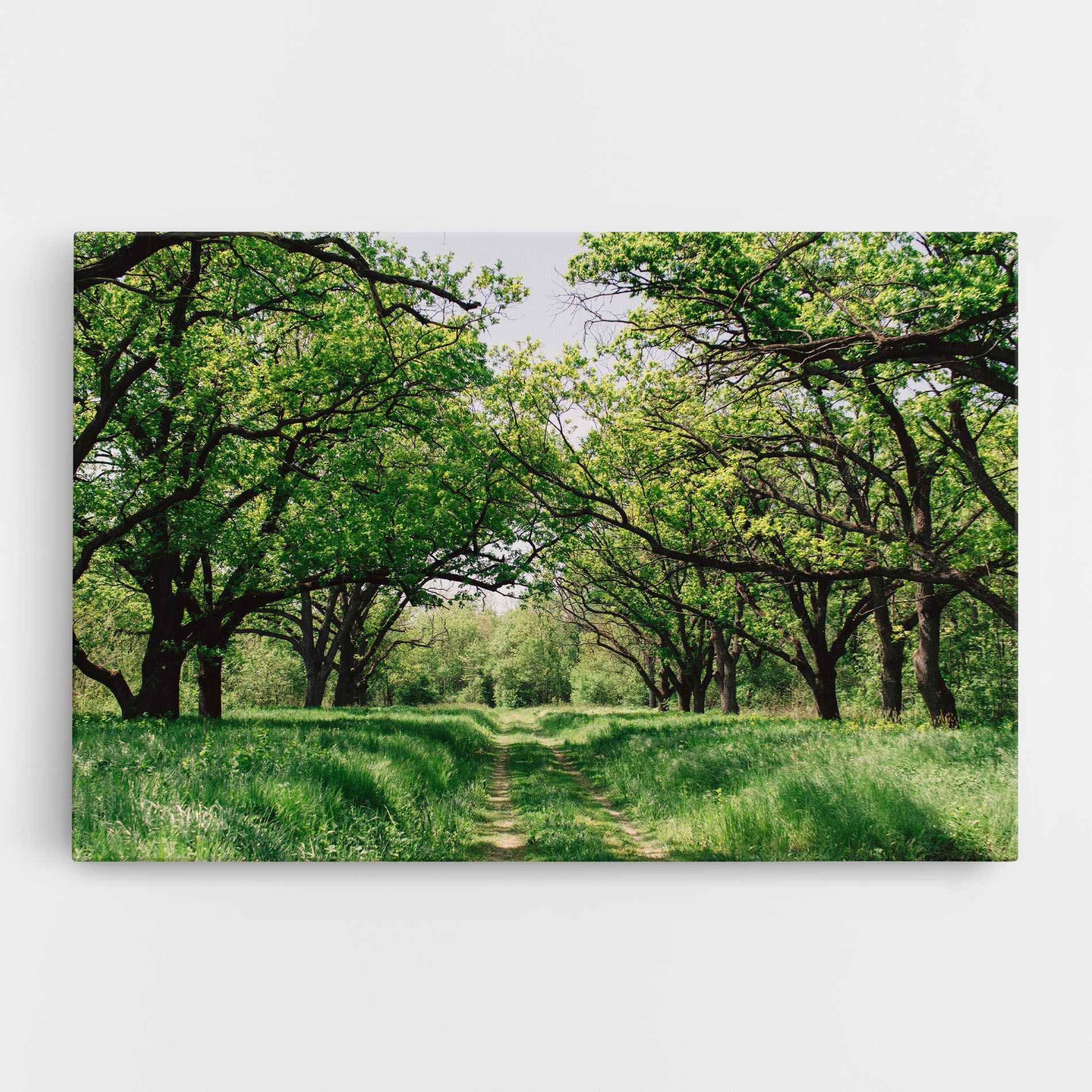 Forest Green Path mockup 0