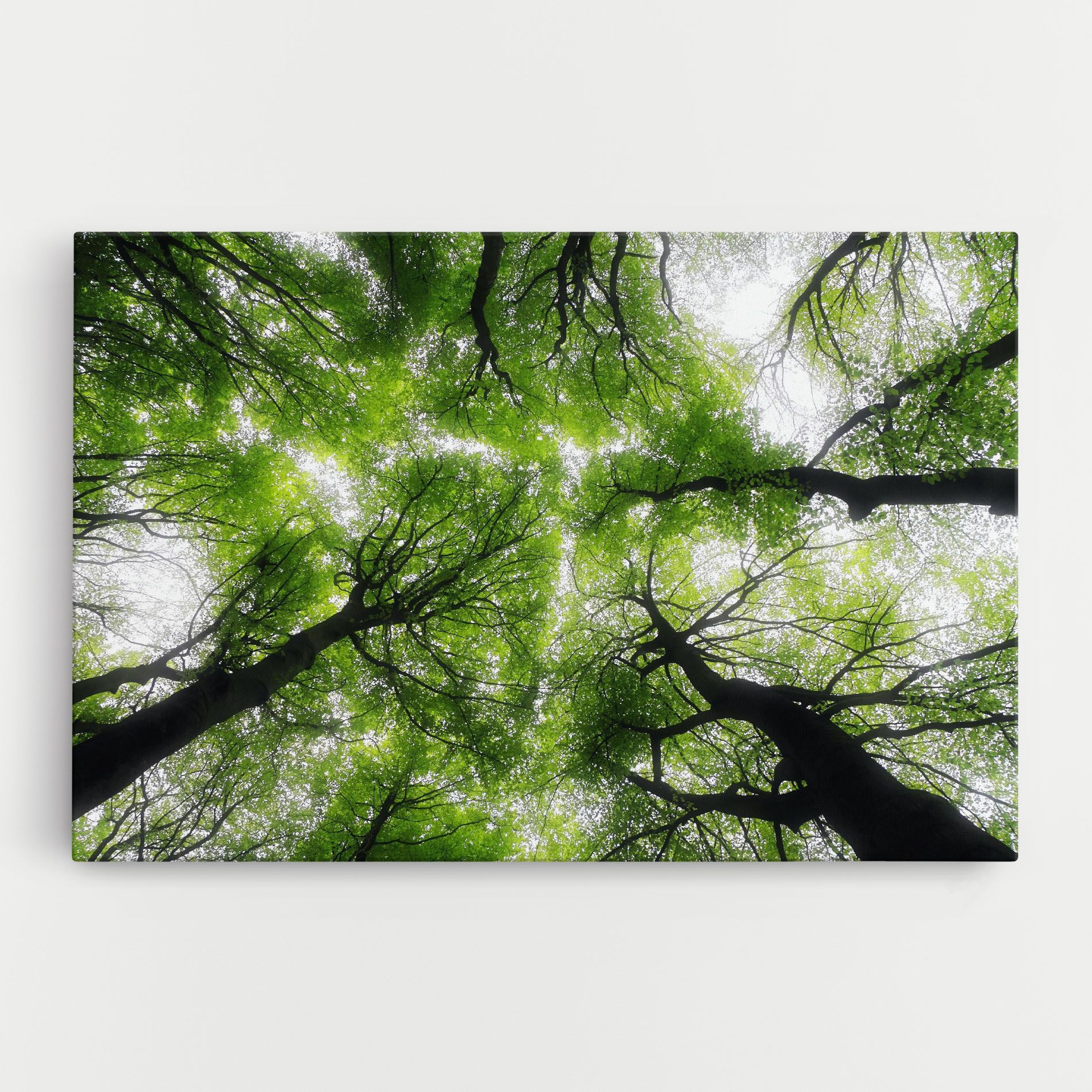 Forest Green Tree mockup 0