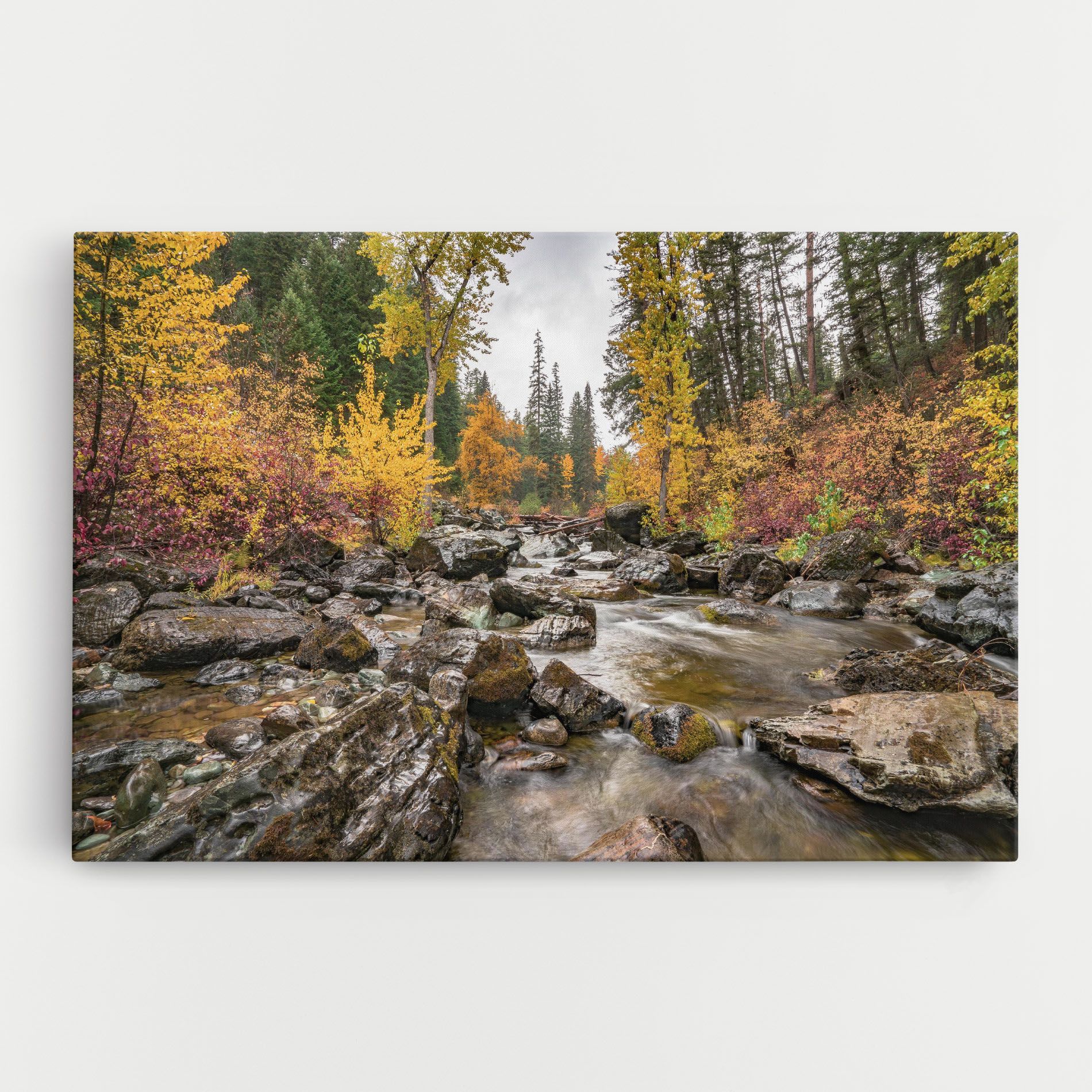 Forest Lake Rocks mockup 0