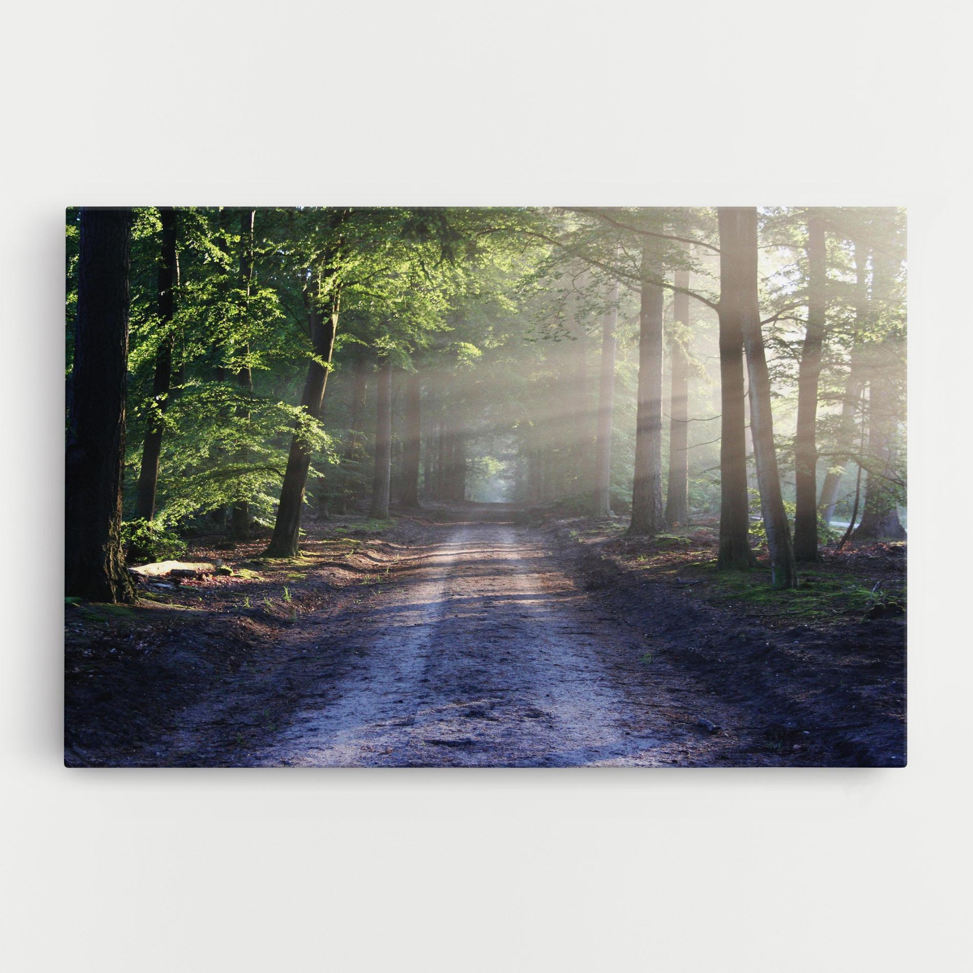 Tablou Canvas Forest Road mockup 0