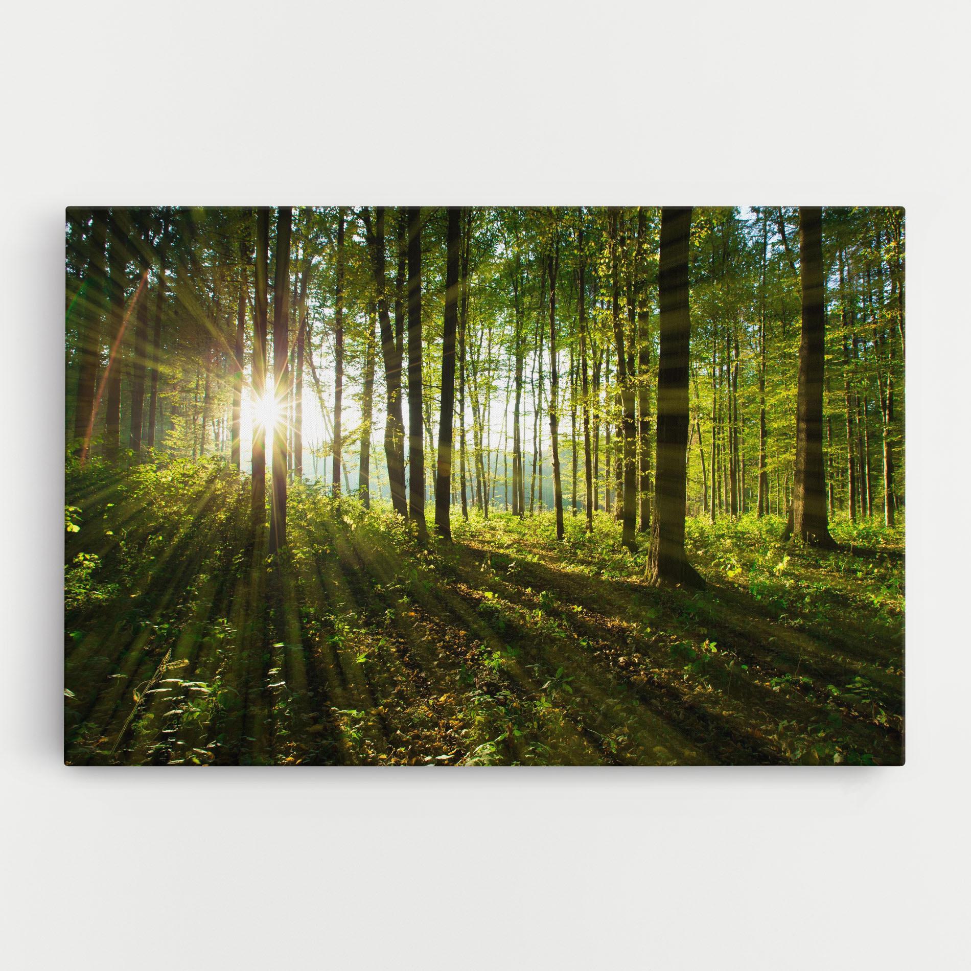 Tablou Canvas Green Light Forest mockup 0
