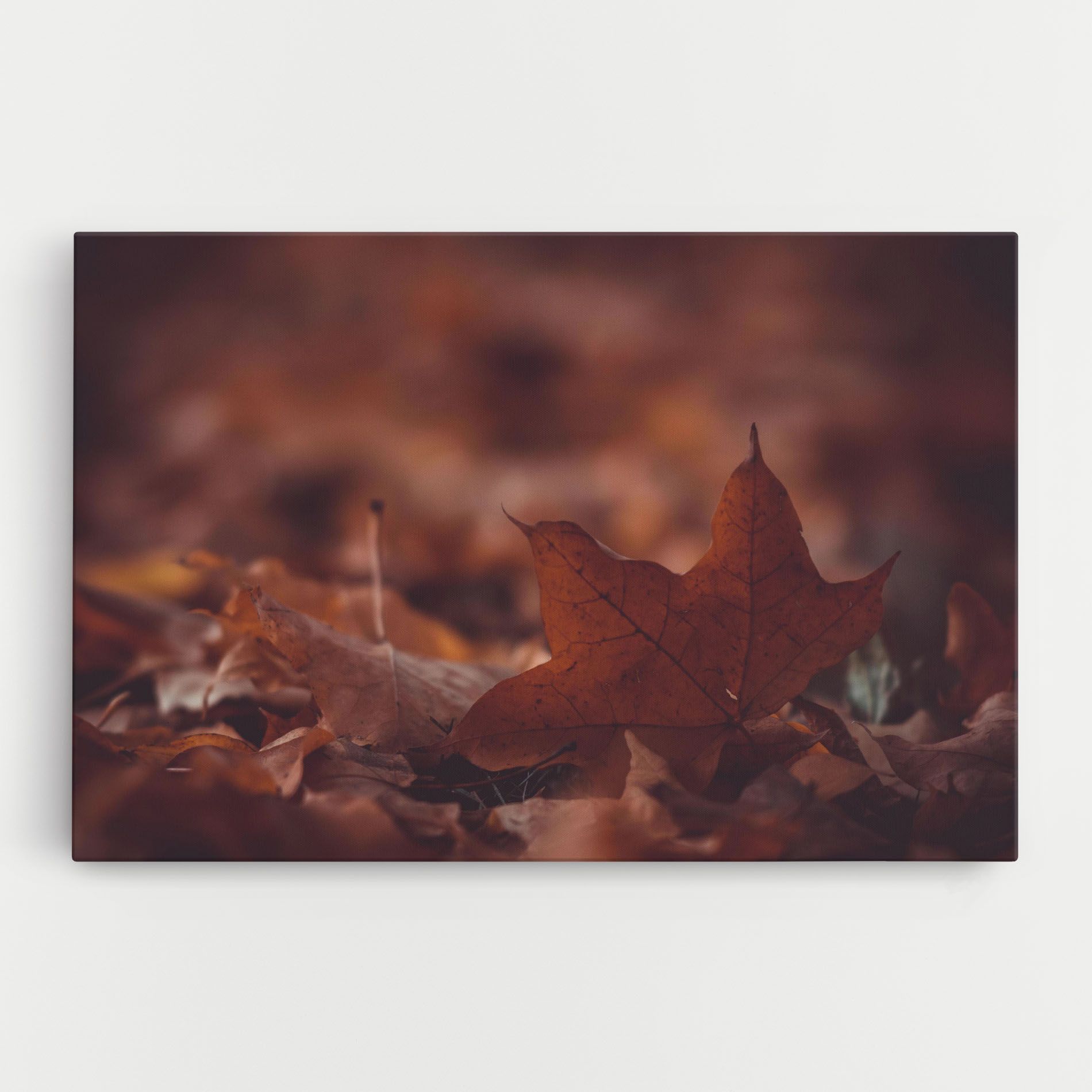 Kristian Seedorff Bl1jBUEIeo8 Unsplash mockup 0