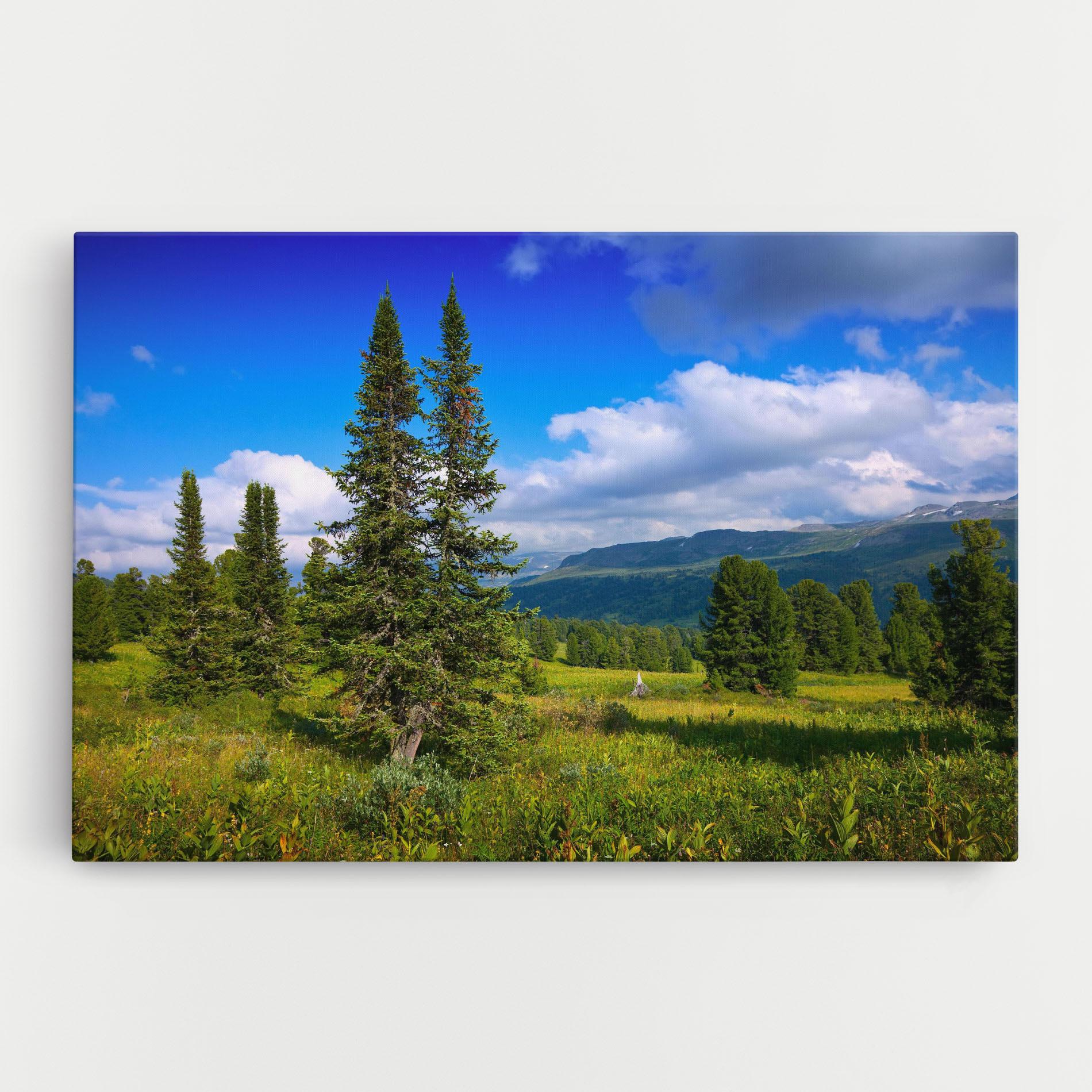 Tablou Canvas Morning Sunny Field mockup 0