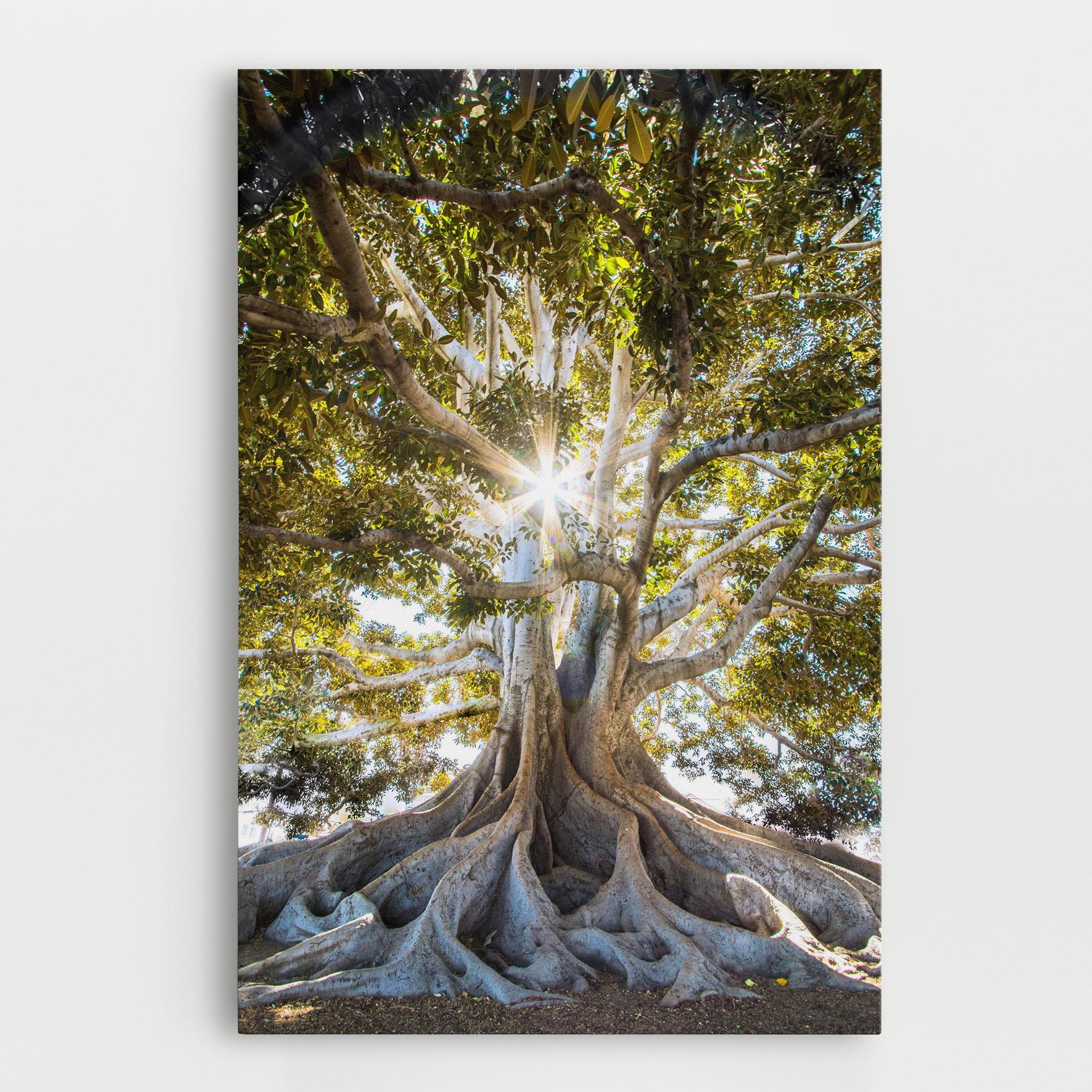 Tablou Canvas Big Old Tree mockup 0