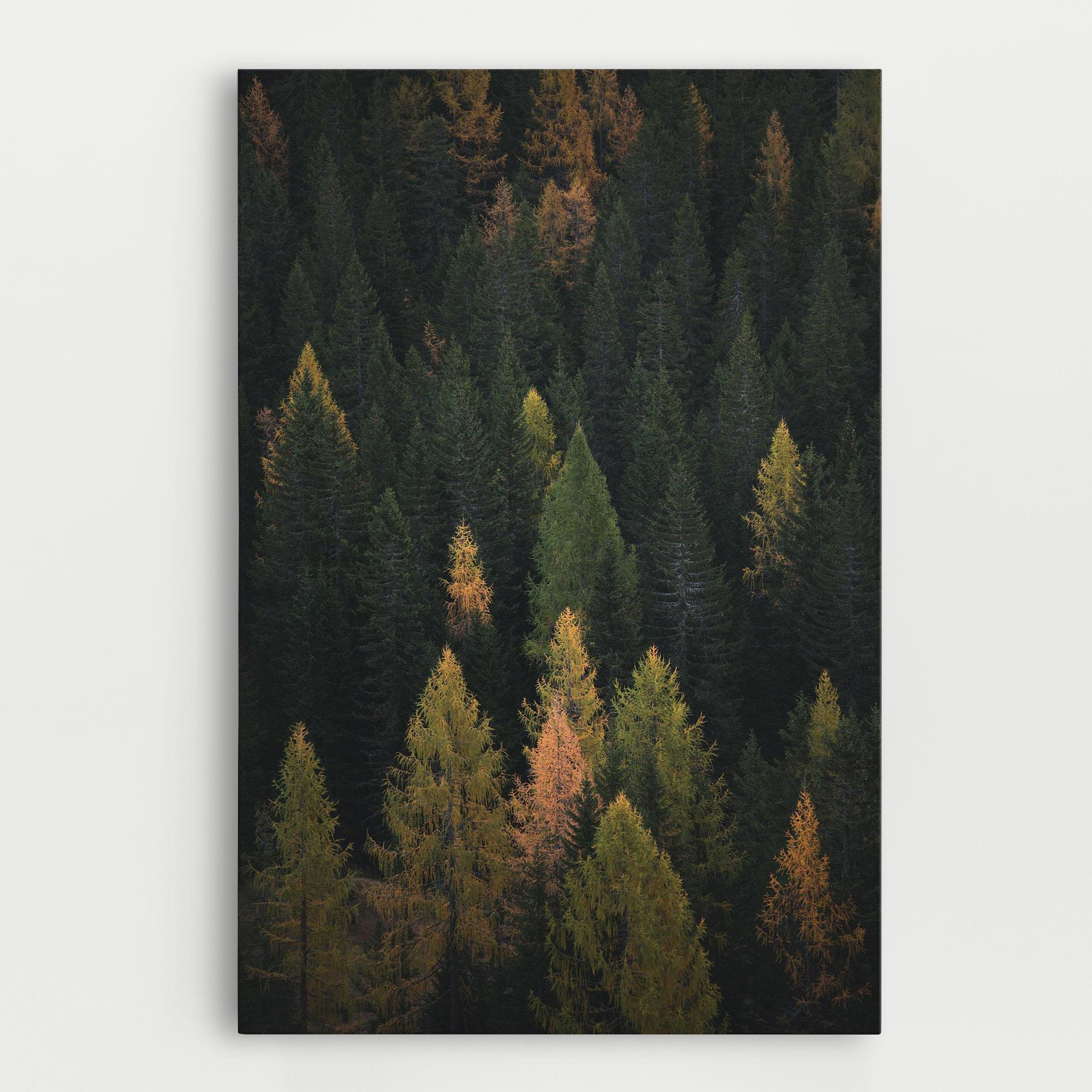Tablou Canvas Color Mix Tree mockup 0