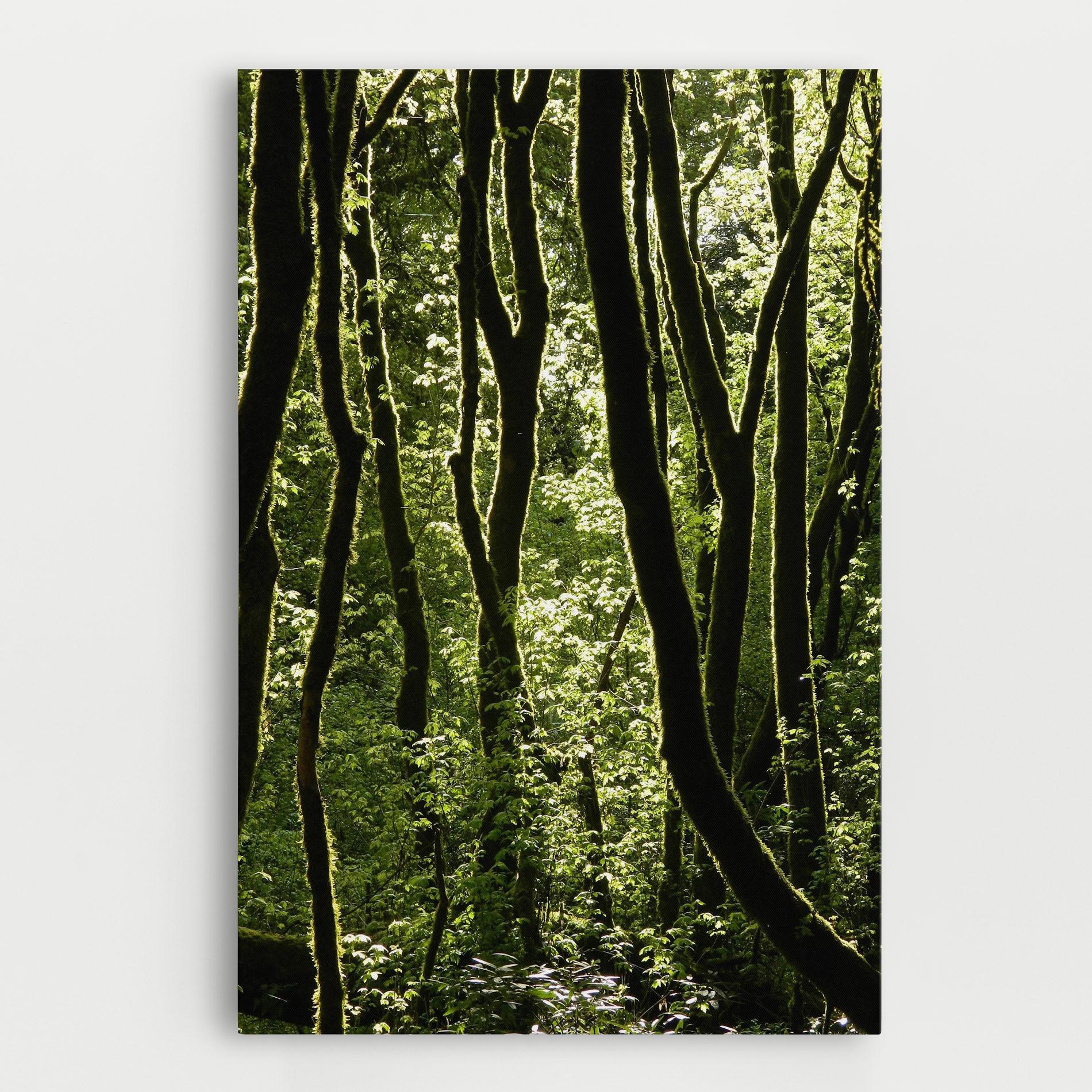 Tablou Canvas Forest Black Trees mockup 0