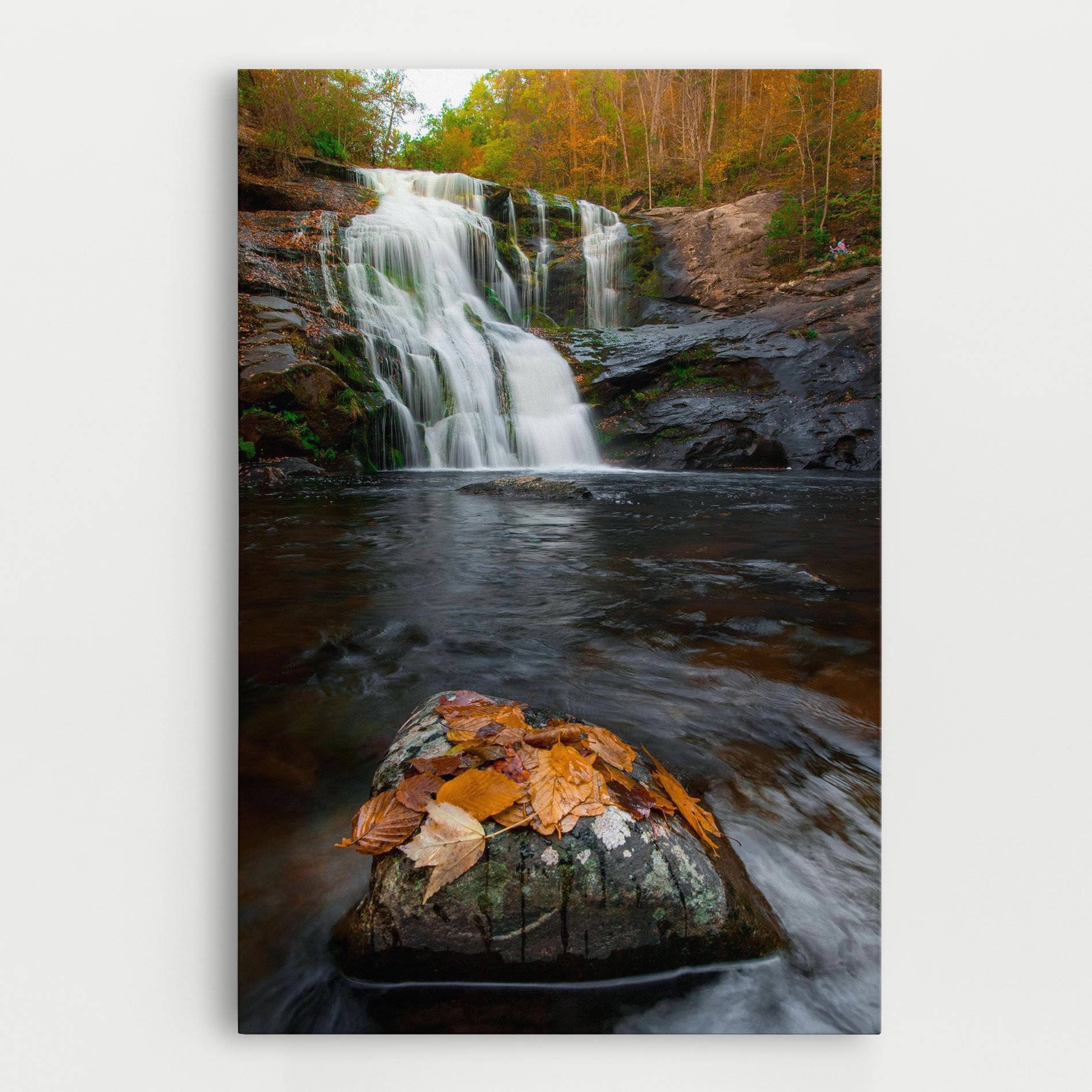 Forest Waterfall mockup 0