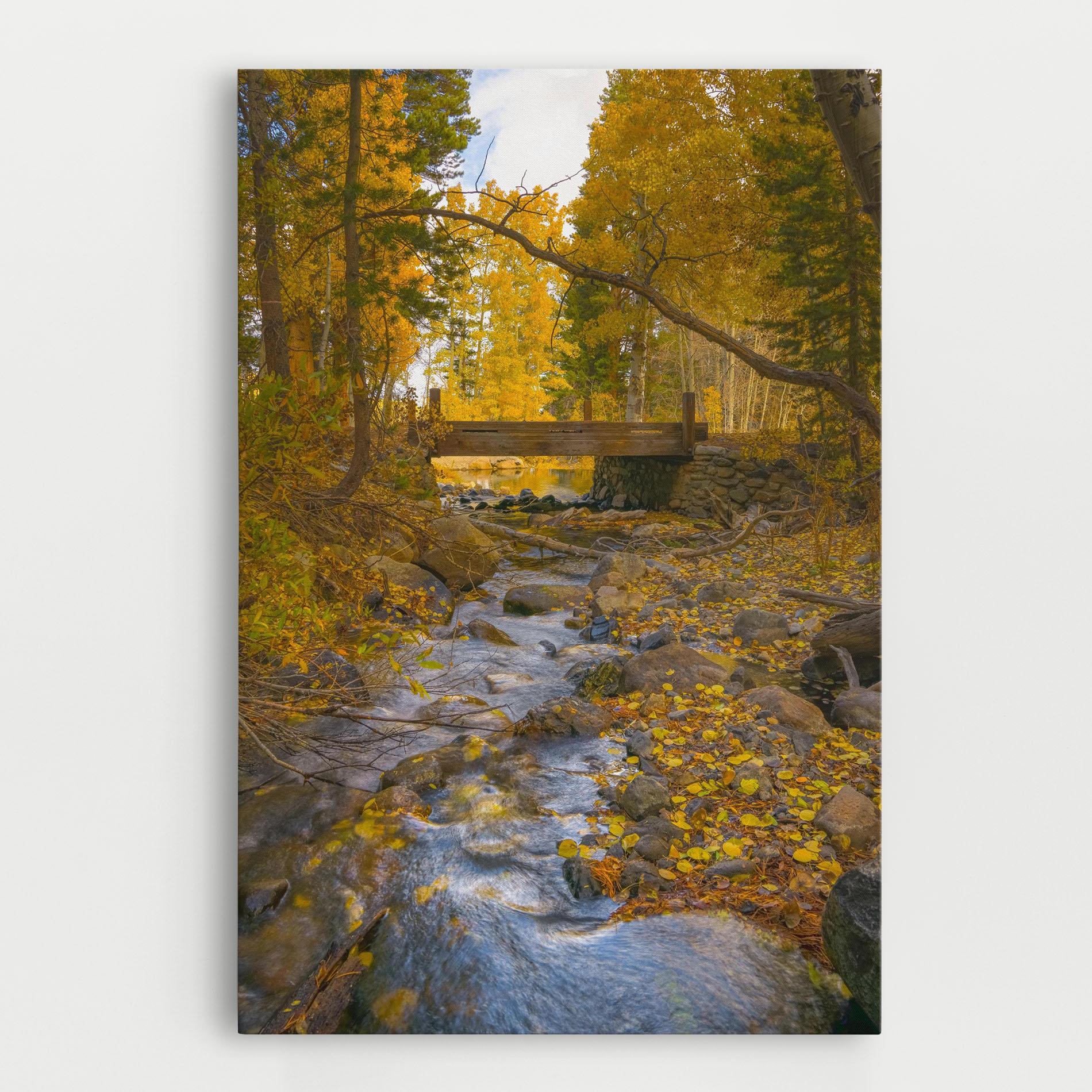 Tablou Canvas Yellow View Forest mockup 0