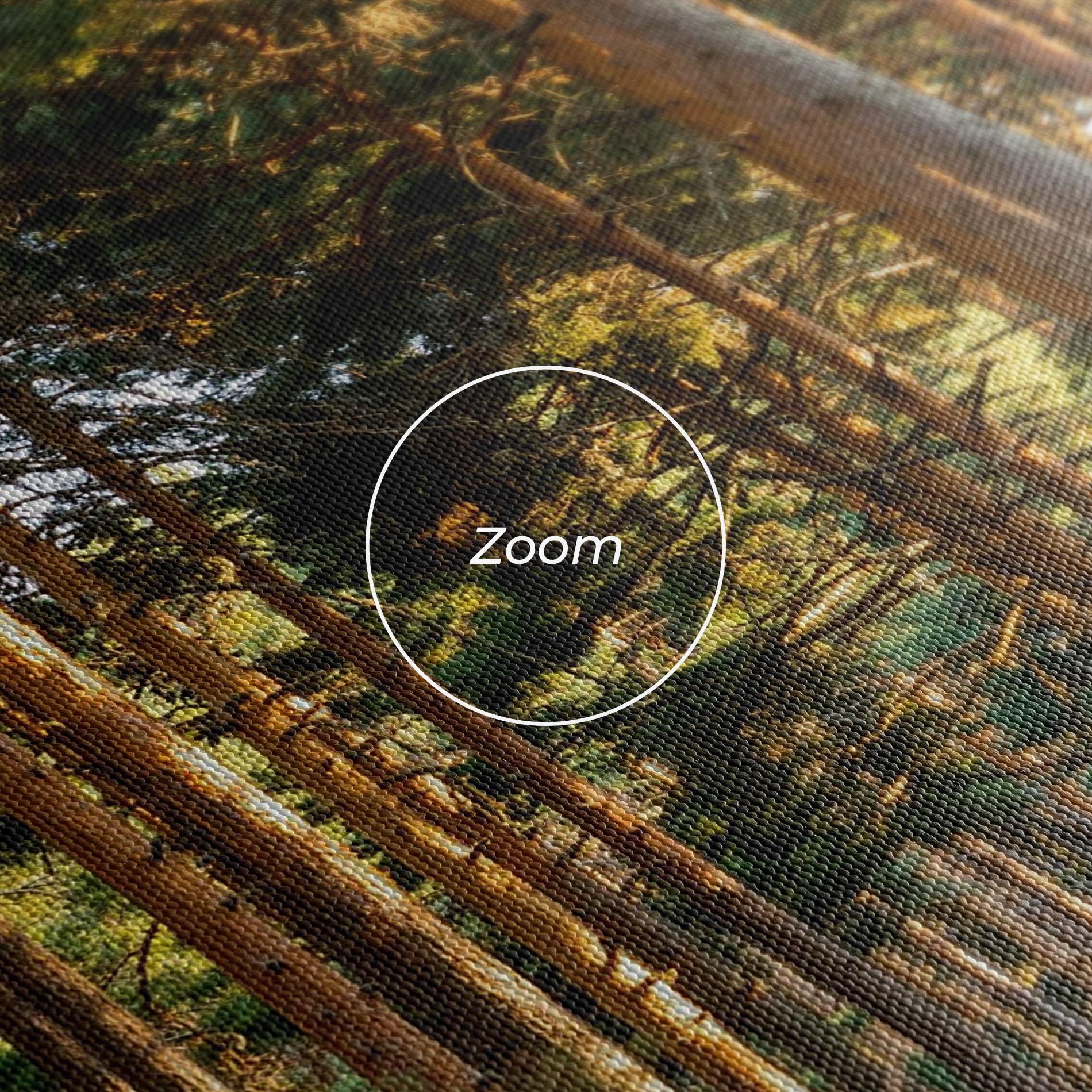 Tablou Canvas Big Trees Forest mockup 3