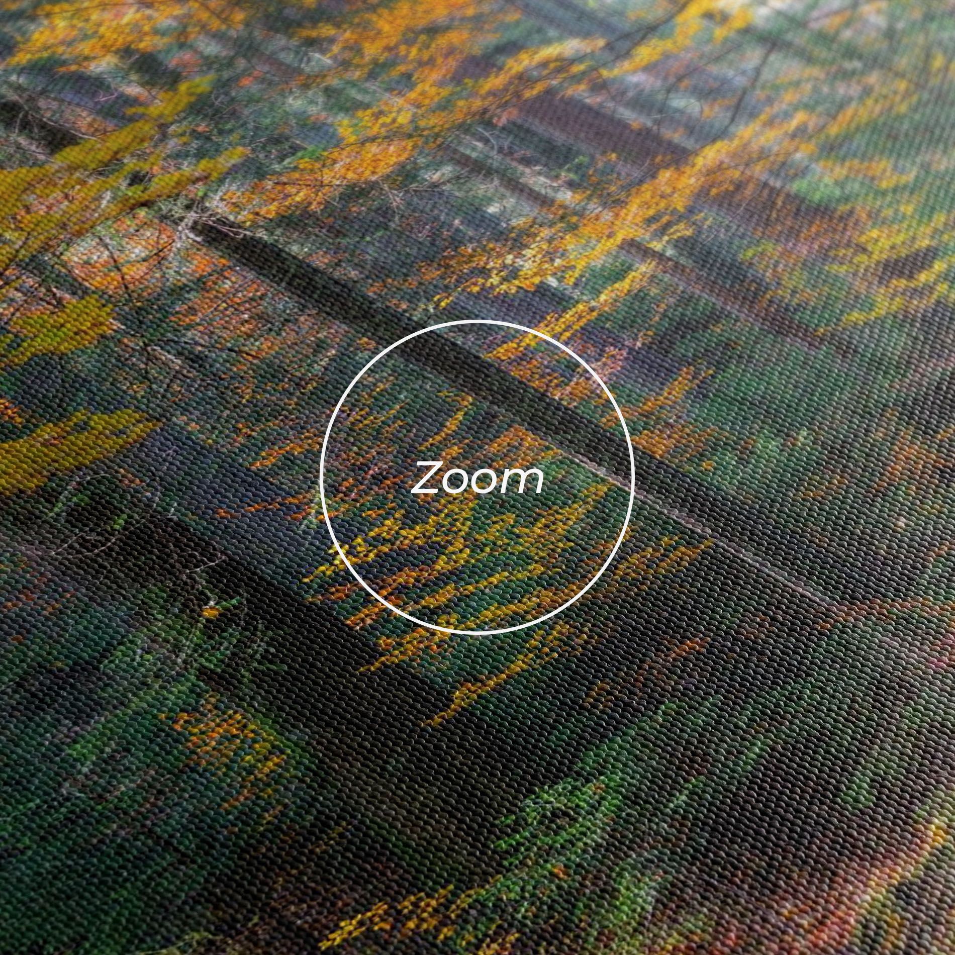 Dreamy Path Dorest mockup 3