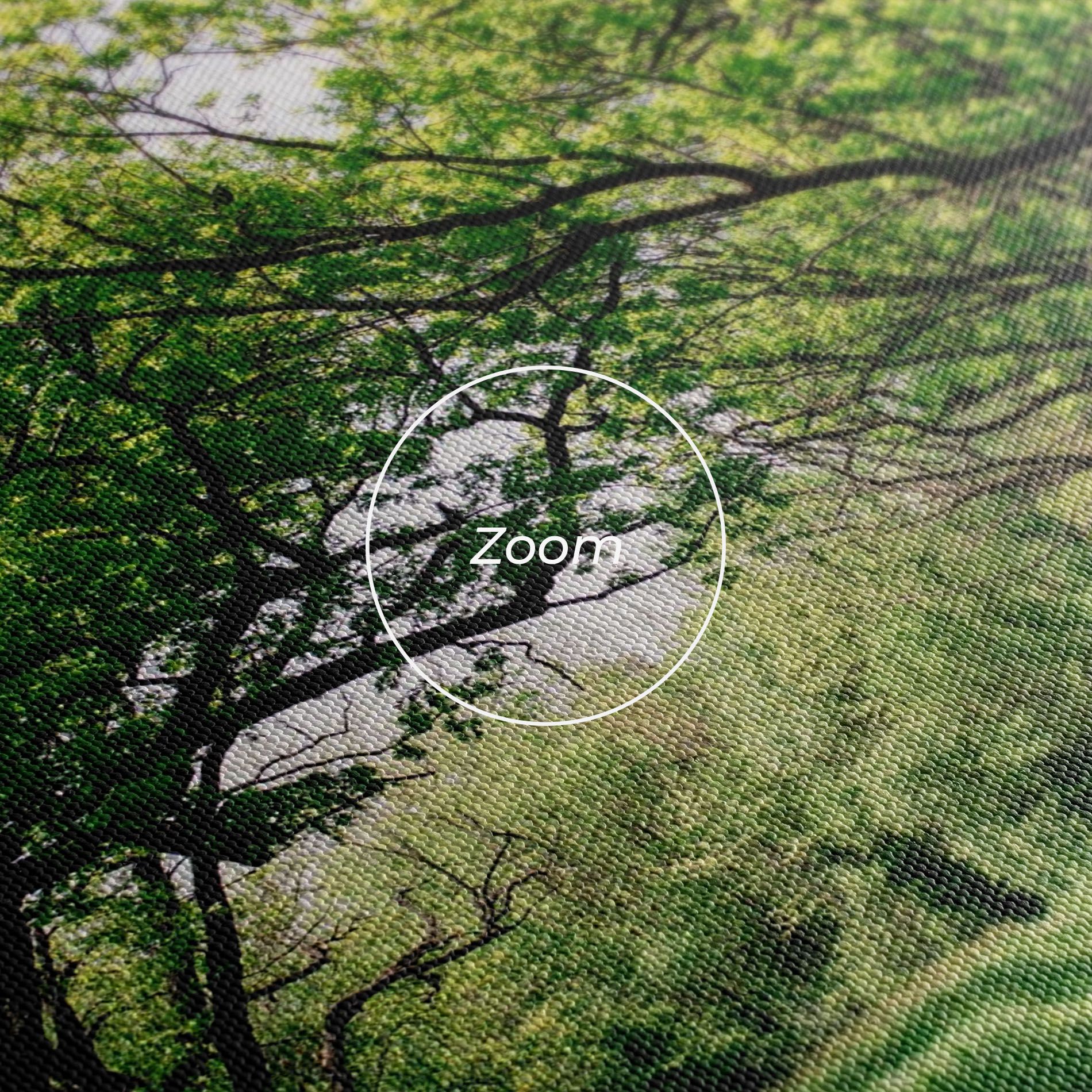 Forest Green Path mockup 3