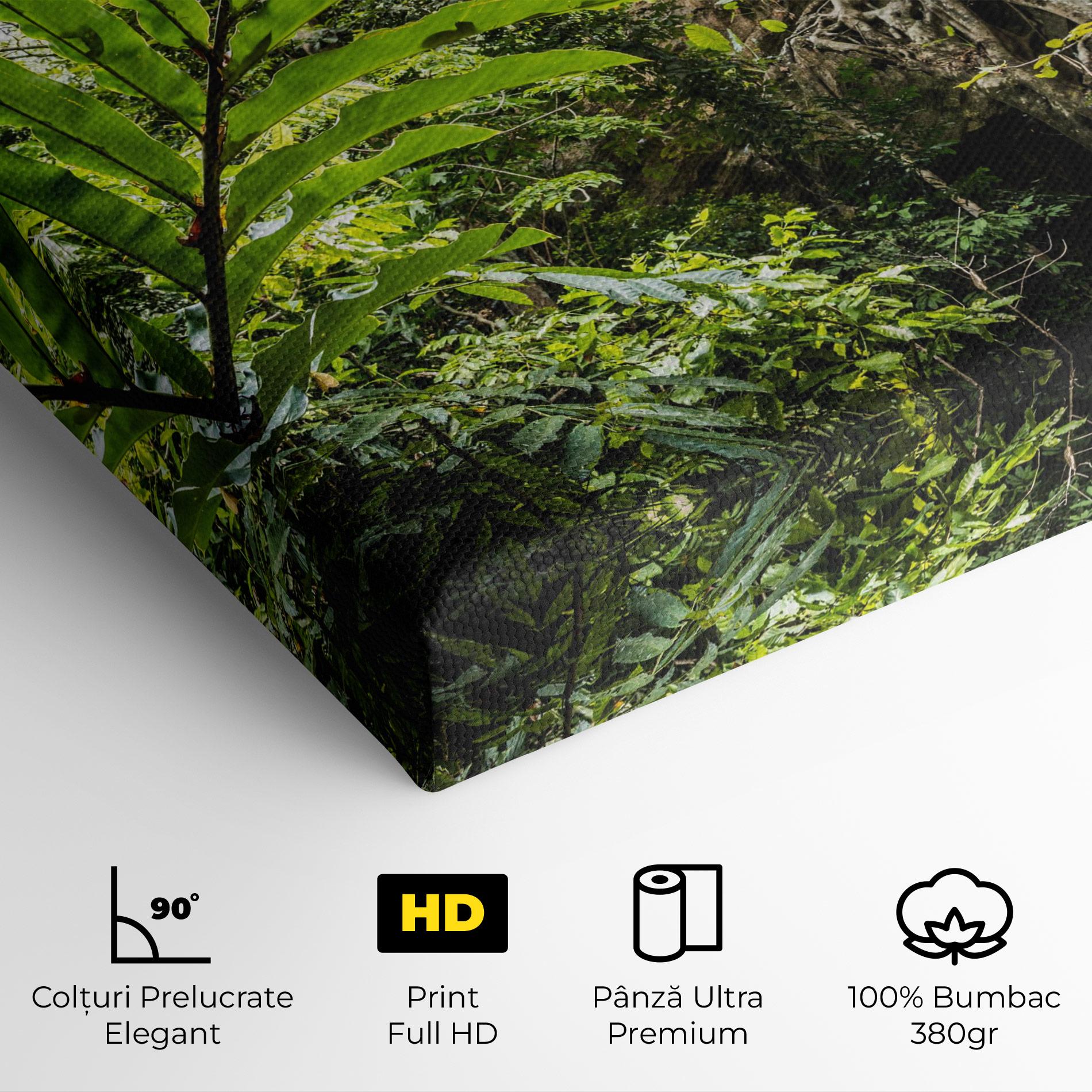 Tablou Canvas Big Leaf Forest mockup 4